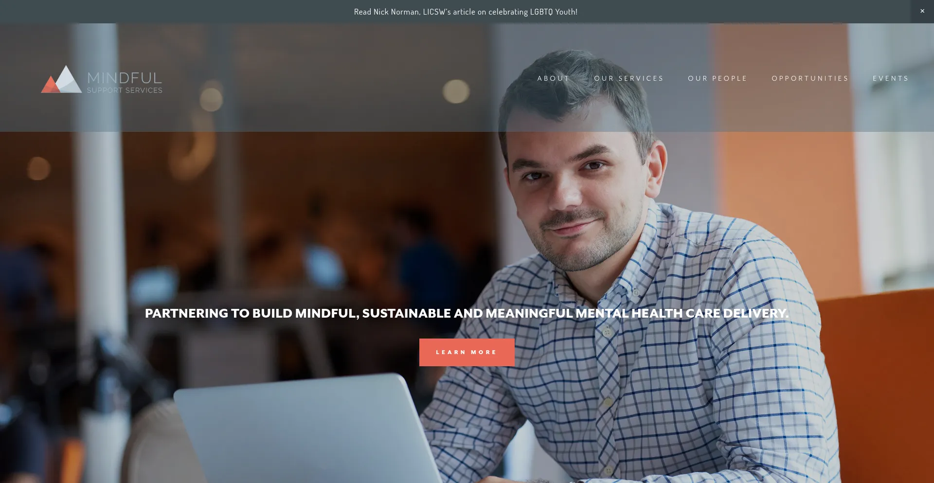 Website screenshot of Mindfulsupportservices.com