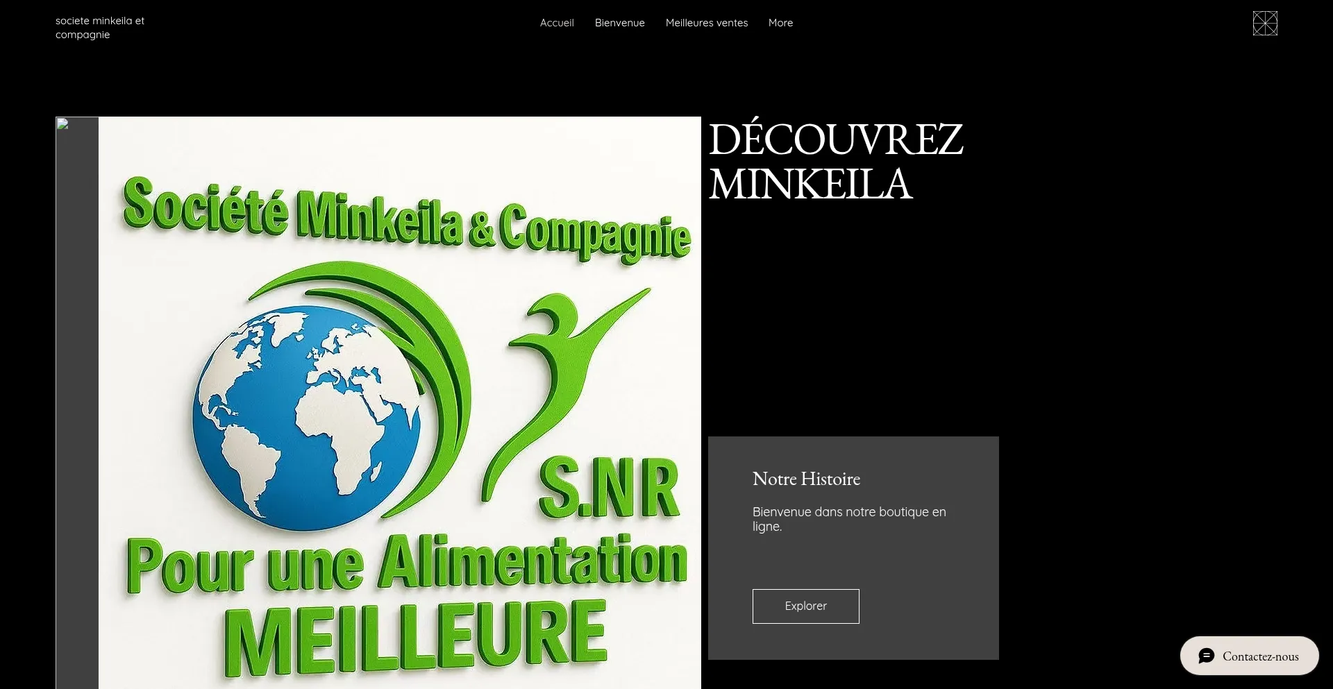 Website screenshot of Minkeila.com
