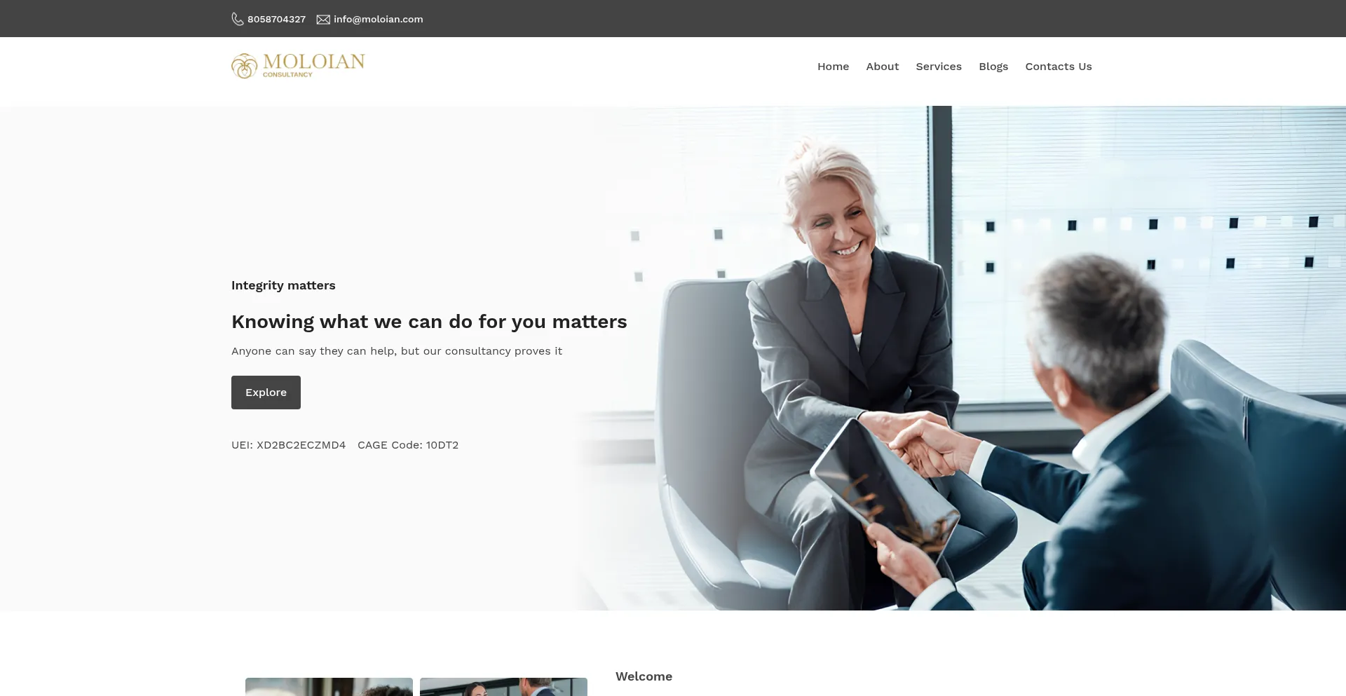 Website screenshot of Moloian.com