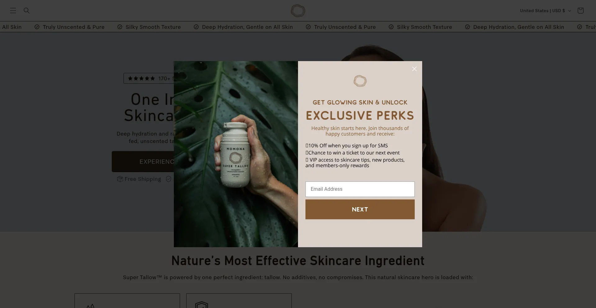 Website screenshot of Momonaskin.com