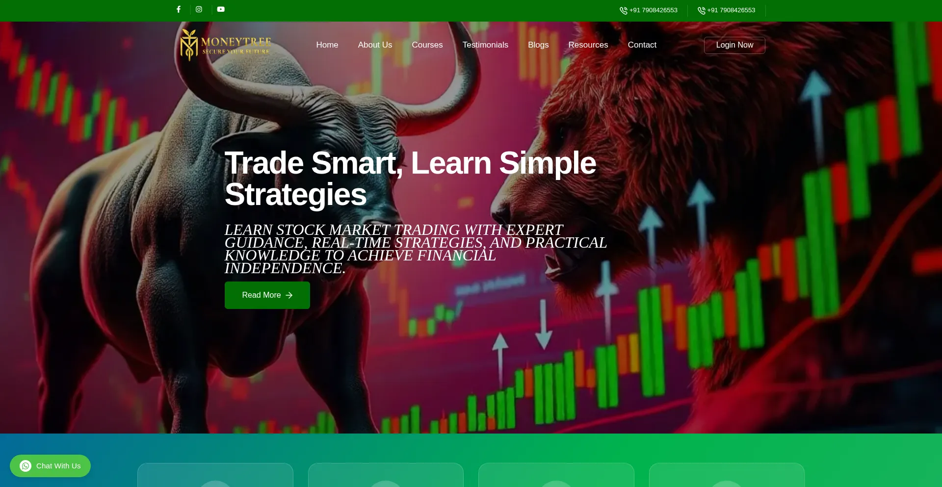 Website screenshot of Moneytreeinstitute.com