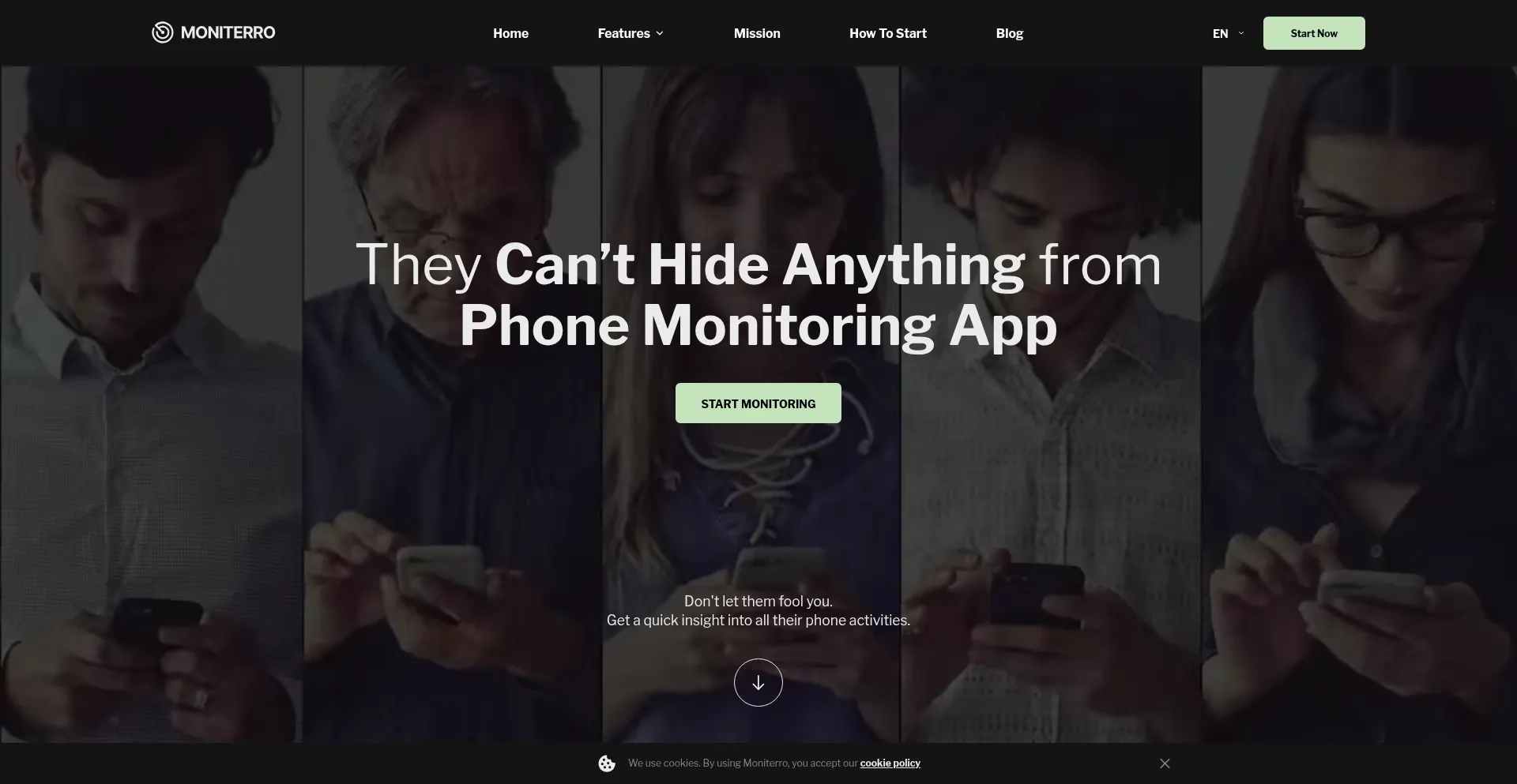 Website screenshot of Moniterro.com