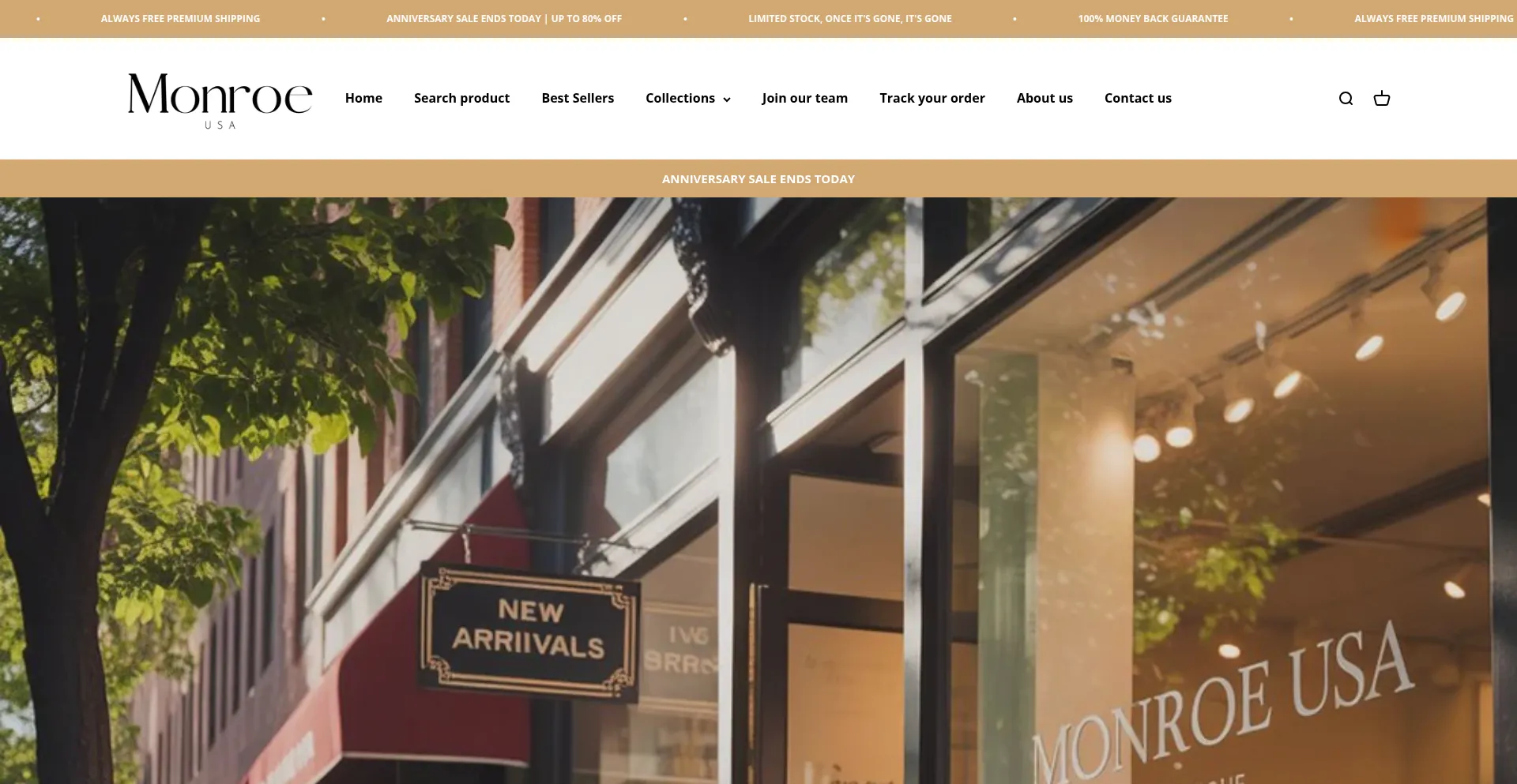 Monroe-usa.com Screenshot