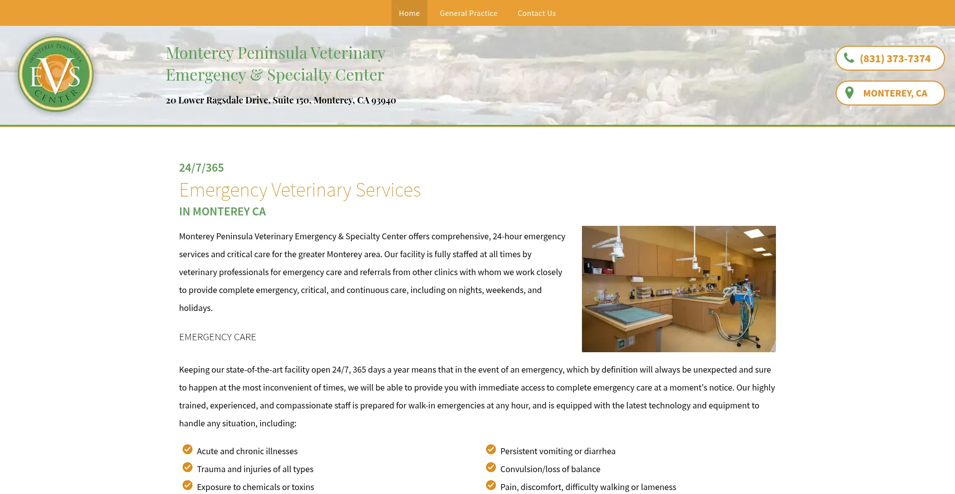 Montereypeninsulavetca.com