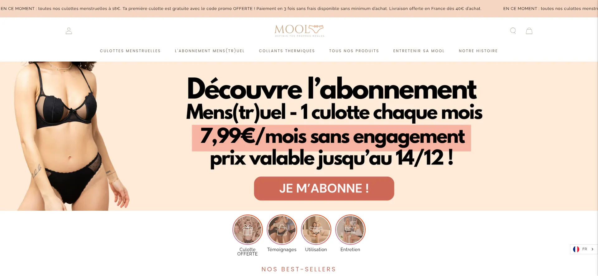 Website screenshot of Mool.fr