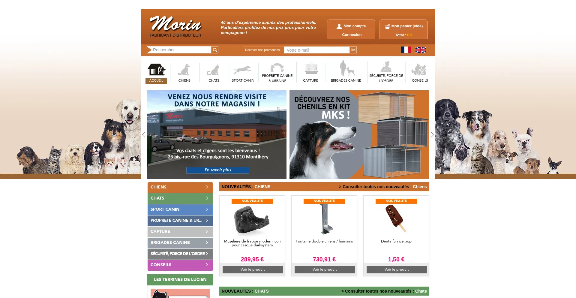 Website screenshot of Morinfrance.com