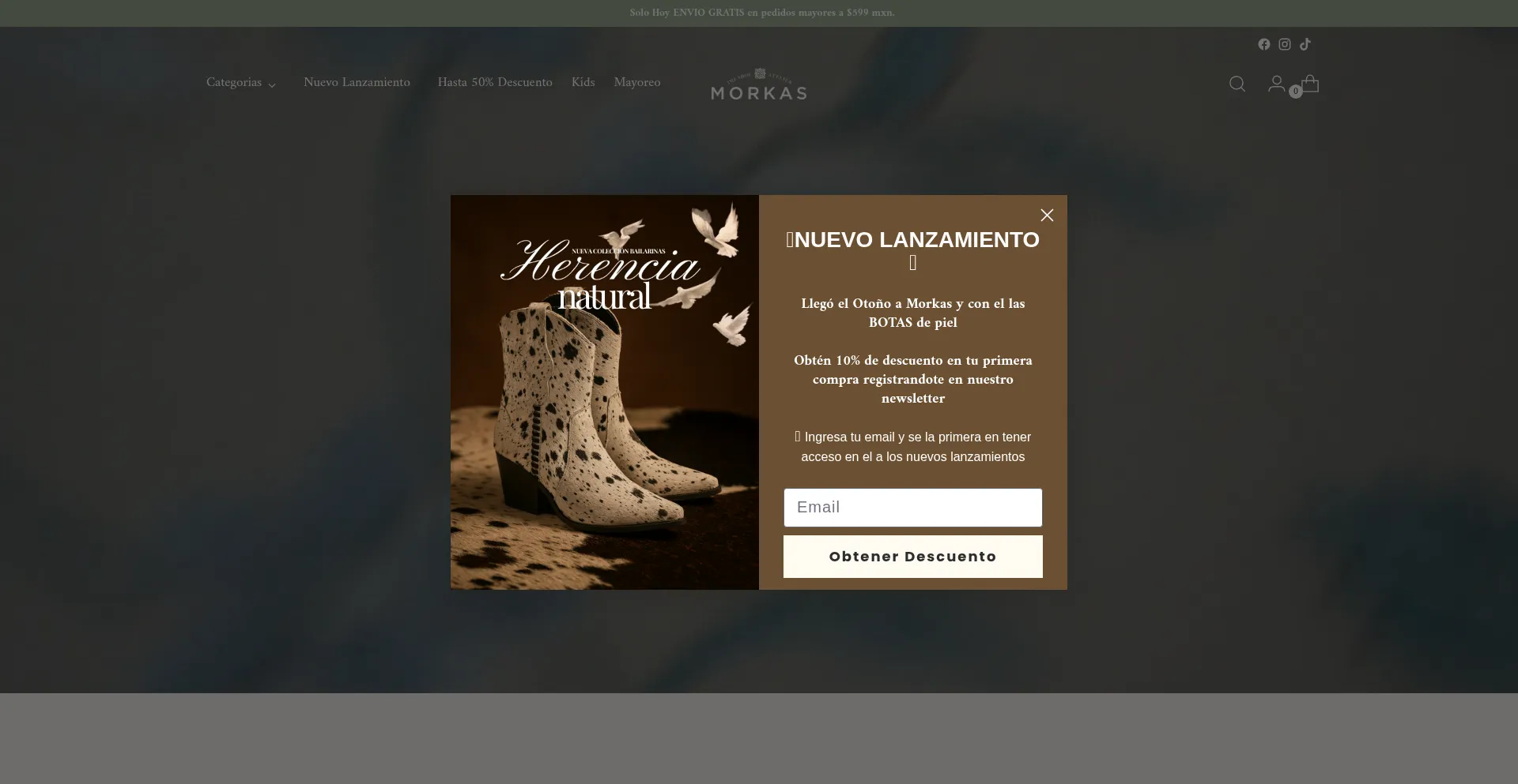 ¿És Seguro y Confiable Morkasshoes.com?