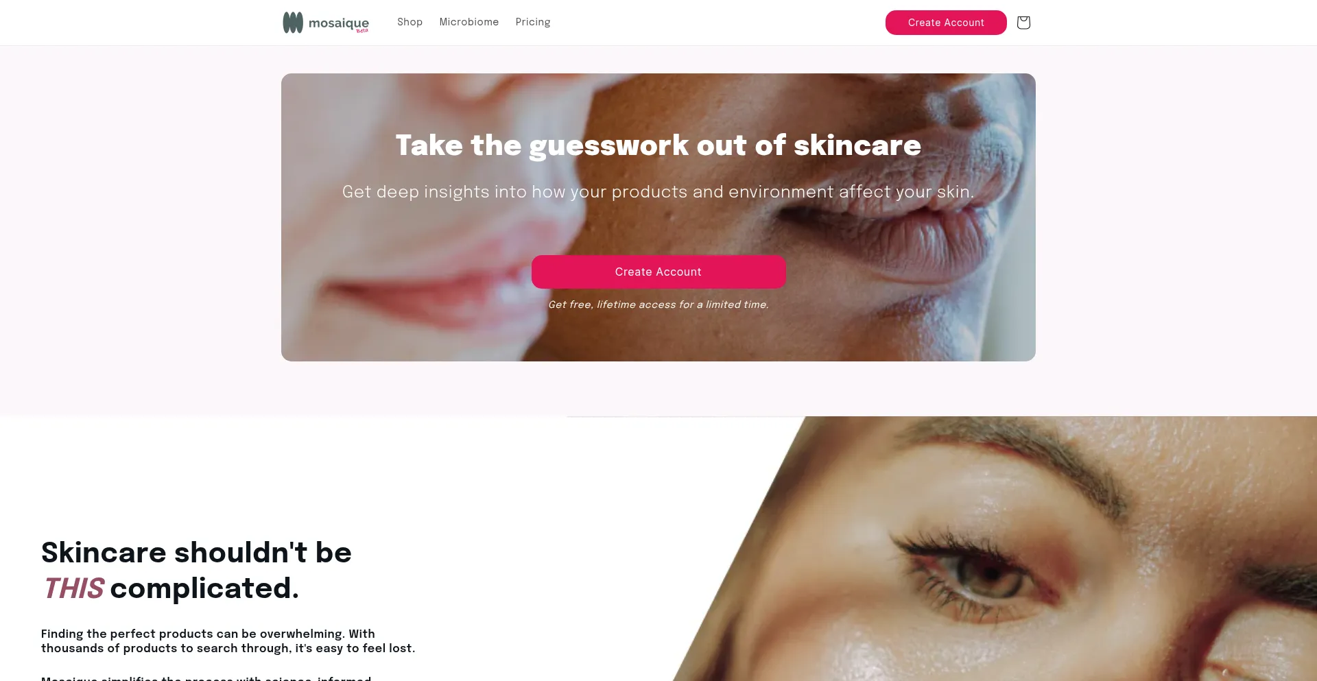 Website screenshot of Mosaique.skin