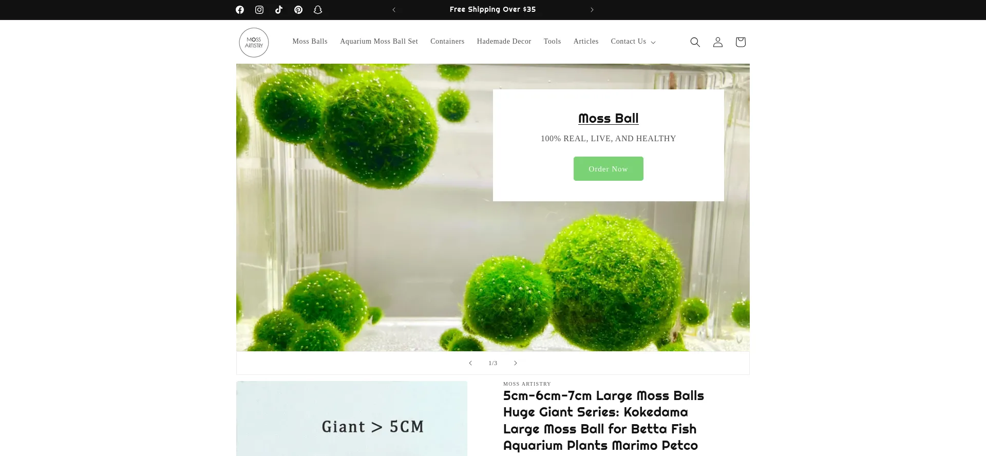 Website screenshot of Mossartistry.com
