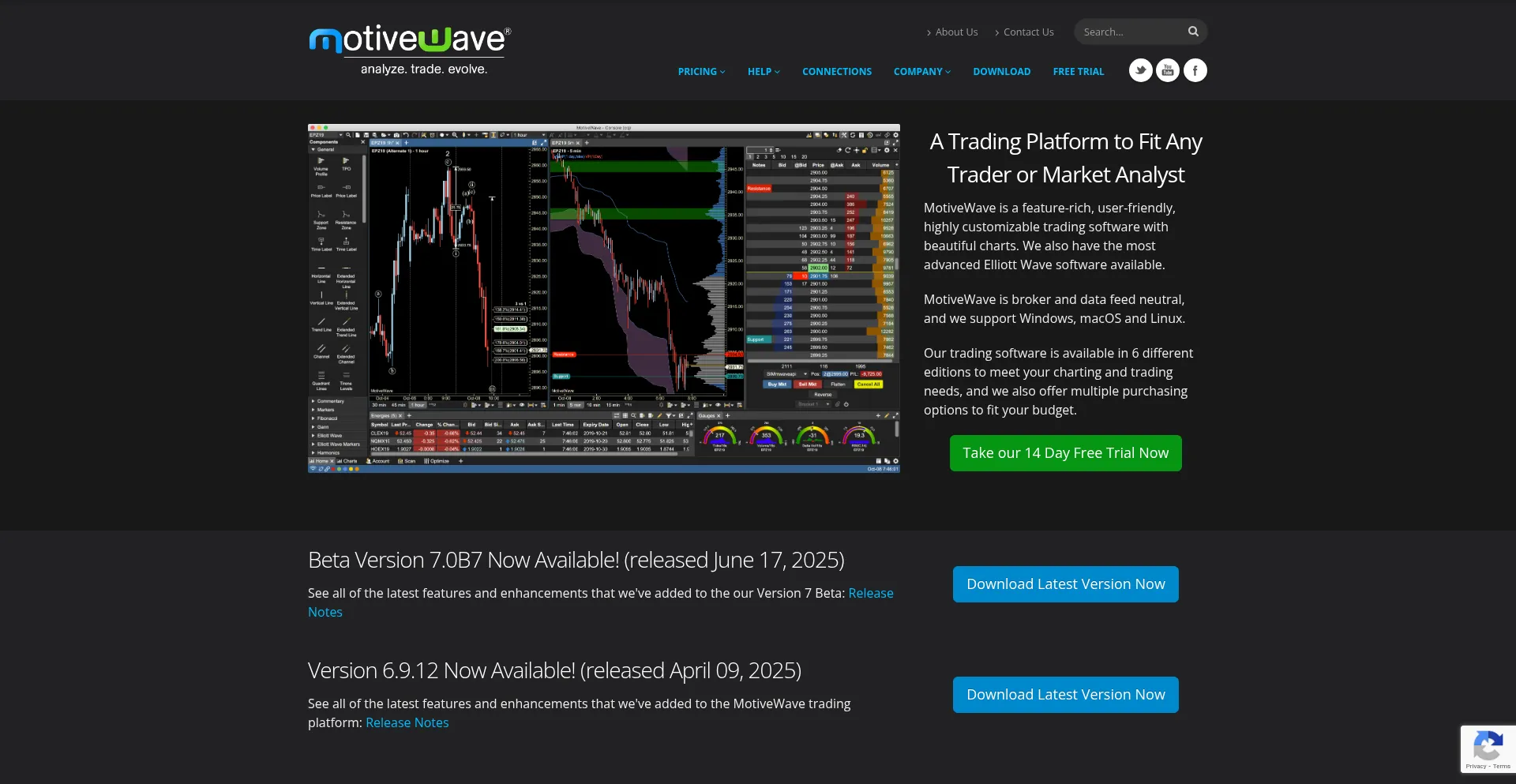 Website screenshot of Motivewave.com