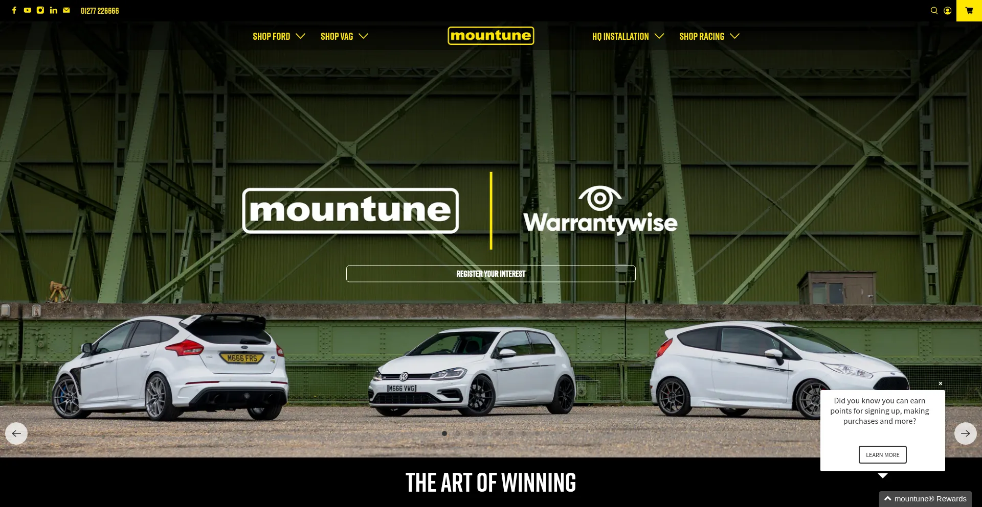 Website screenshot of Mountunestore.com