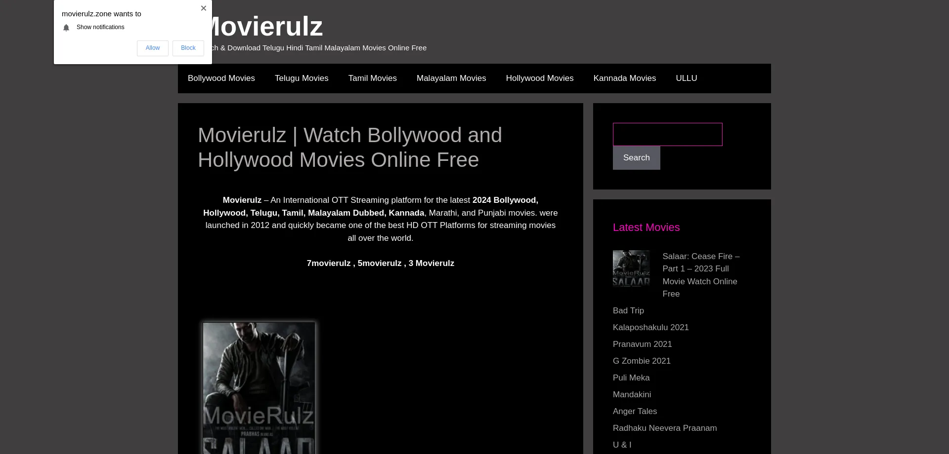 Website screenshot of Movierulz.zone
