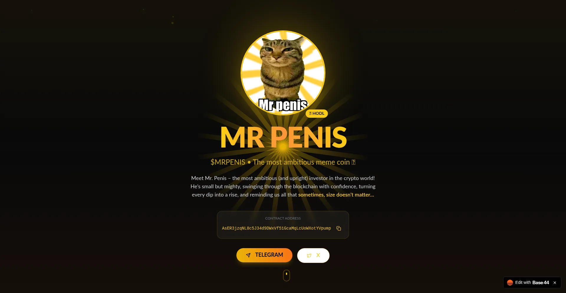 Mr-penis-coin-08f99466.base44.app