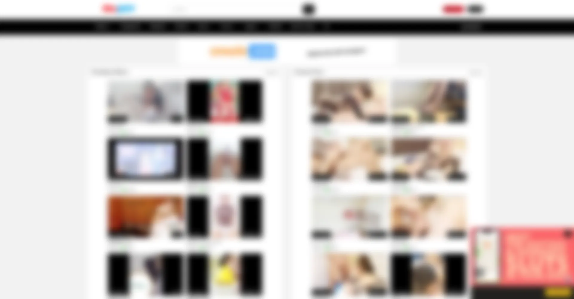 Website screenshot of Mrjav.net