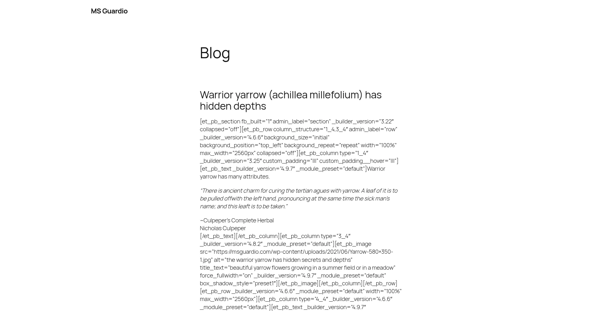 Msguardio.com
