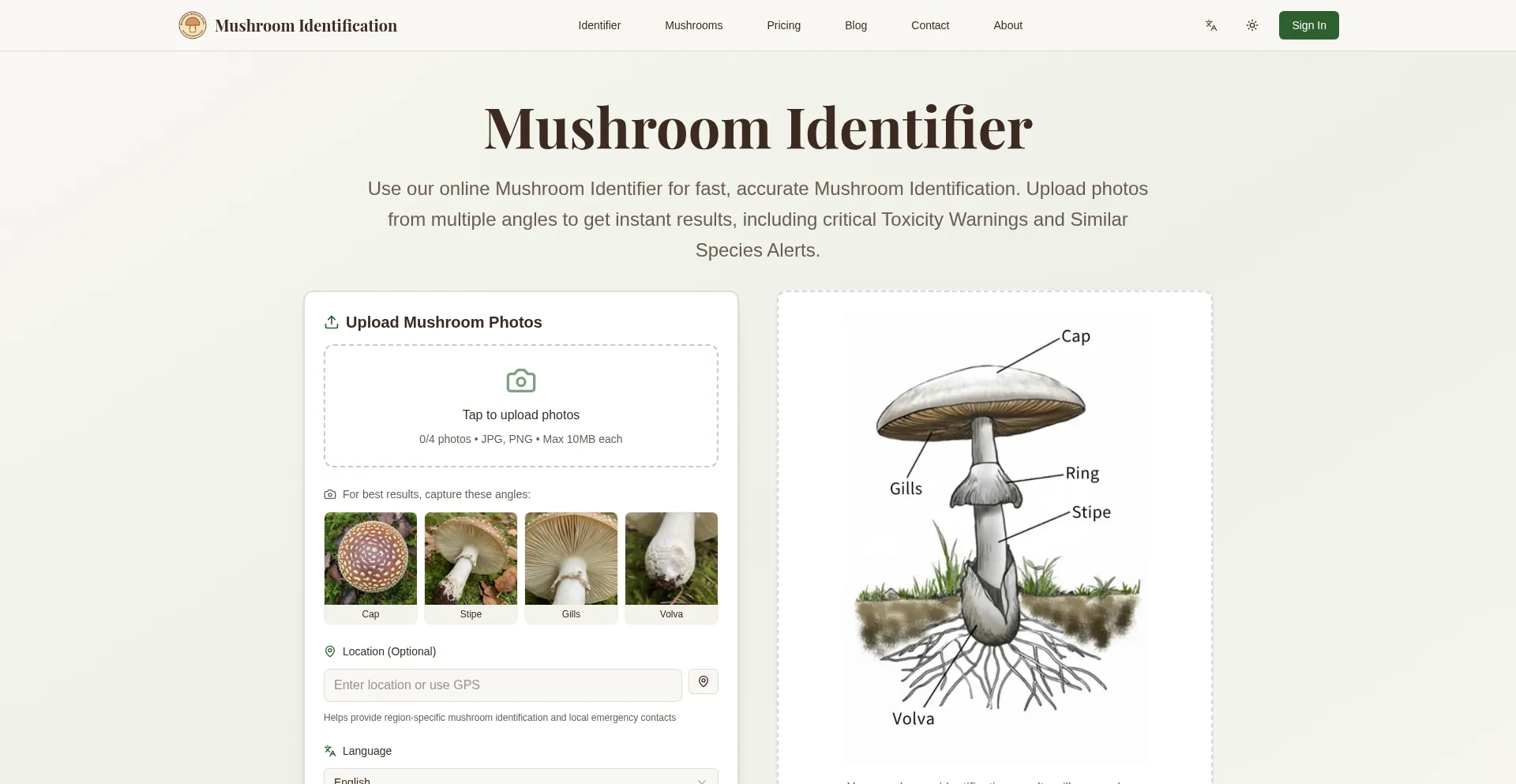 Mushroomidentification.online