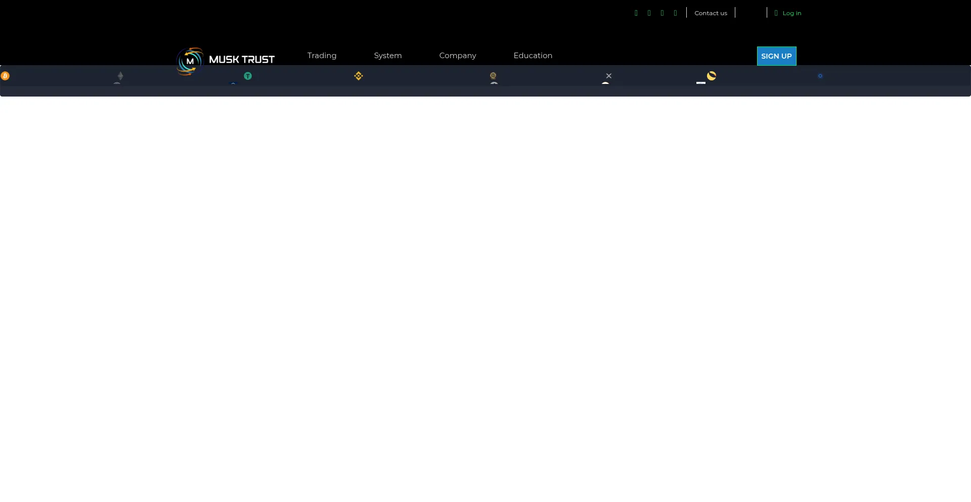Website screenshot of Musk-trust.top