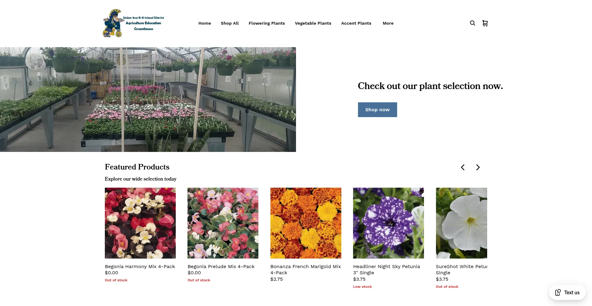 My-site-100780-103479.square.site
