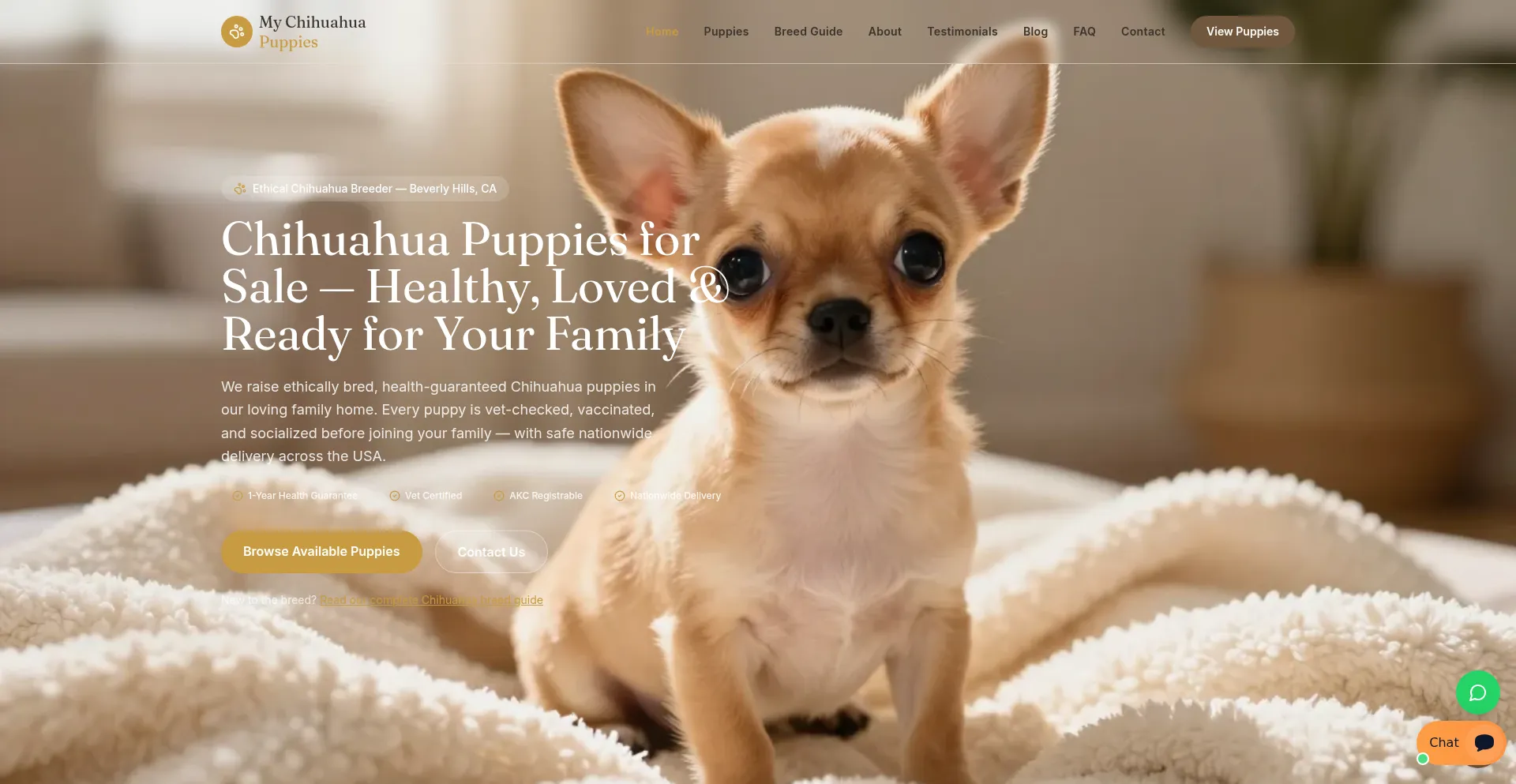 Mychihuahuapuppies.com