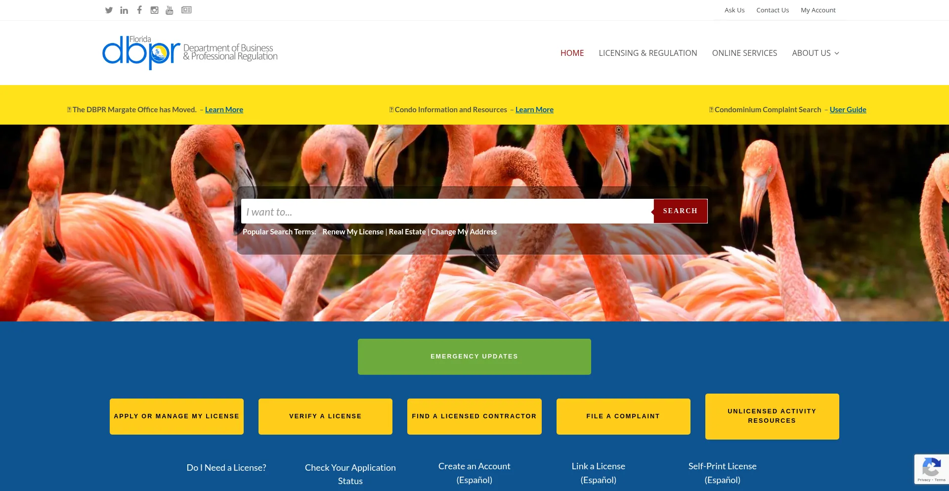 Website screenshot of Myfloridalicense.com