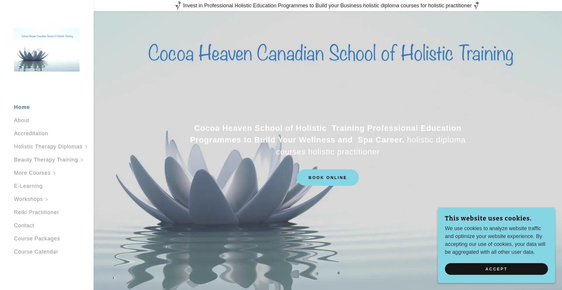 Website screenshot of Myholistictraining.com