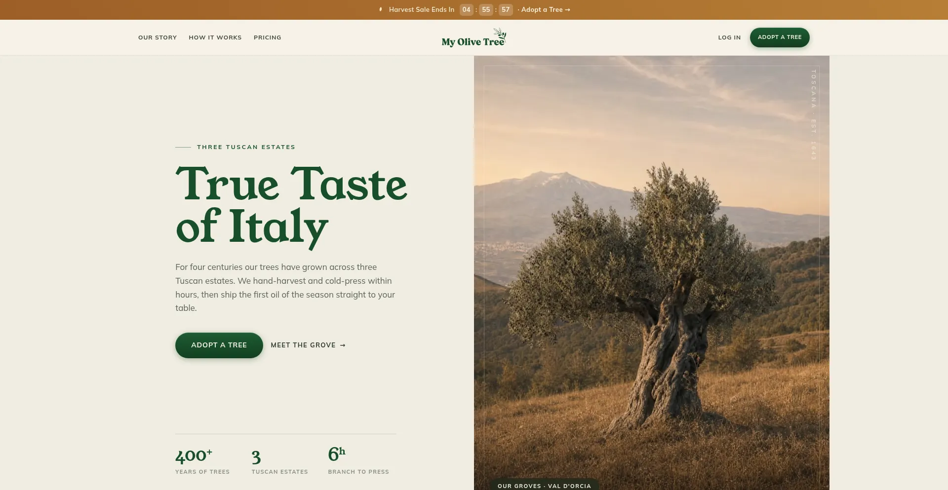 Myolivetree.it