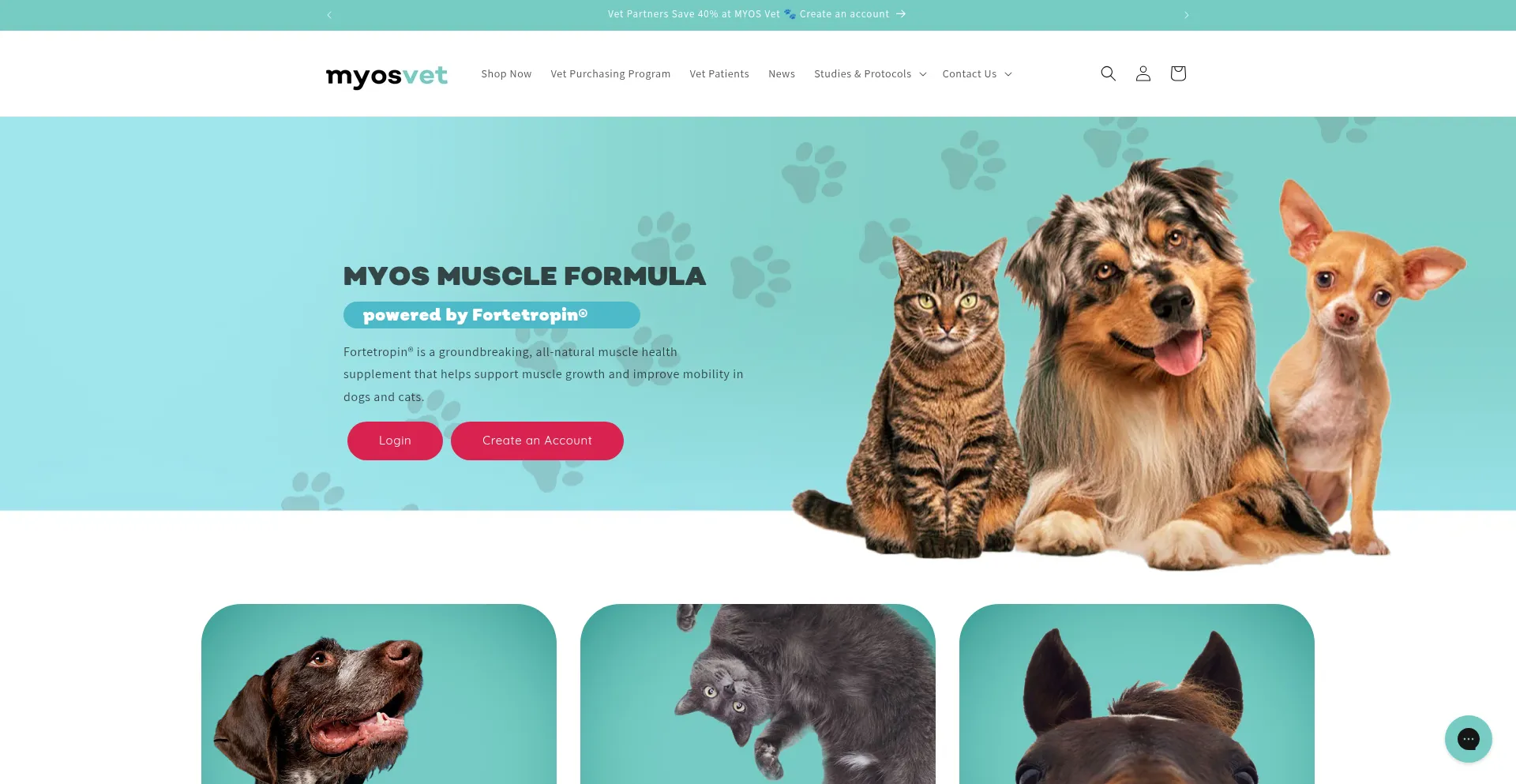 Myosvet.com