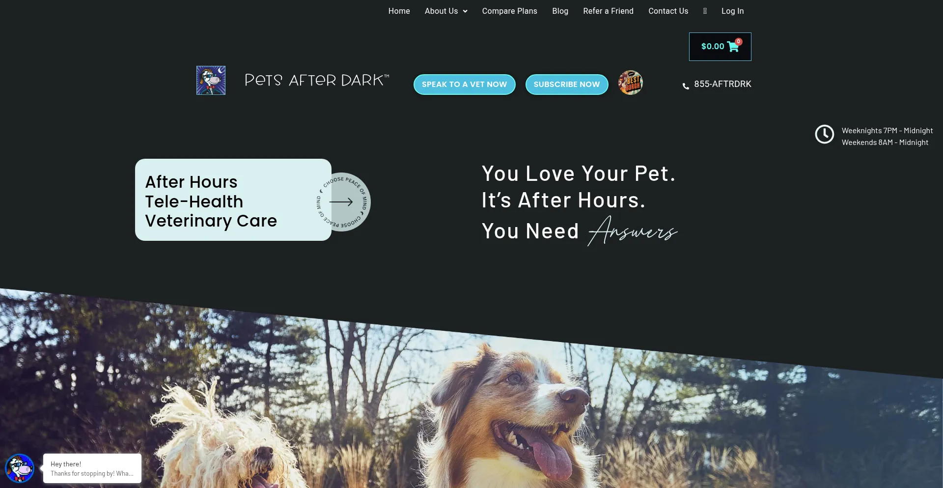 Mypetsafterdark.com