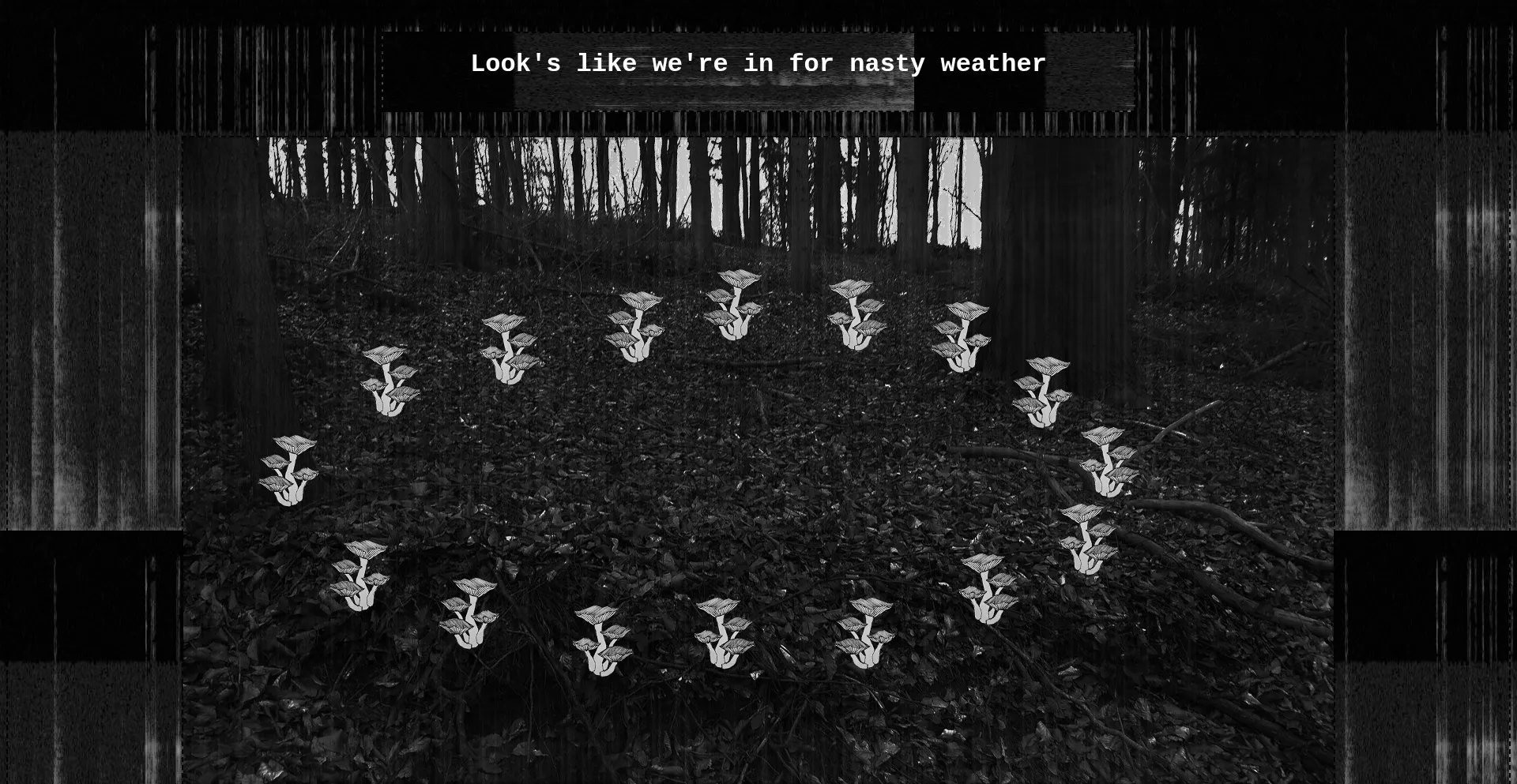 Myzelien.neocities.org