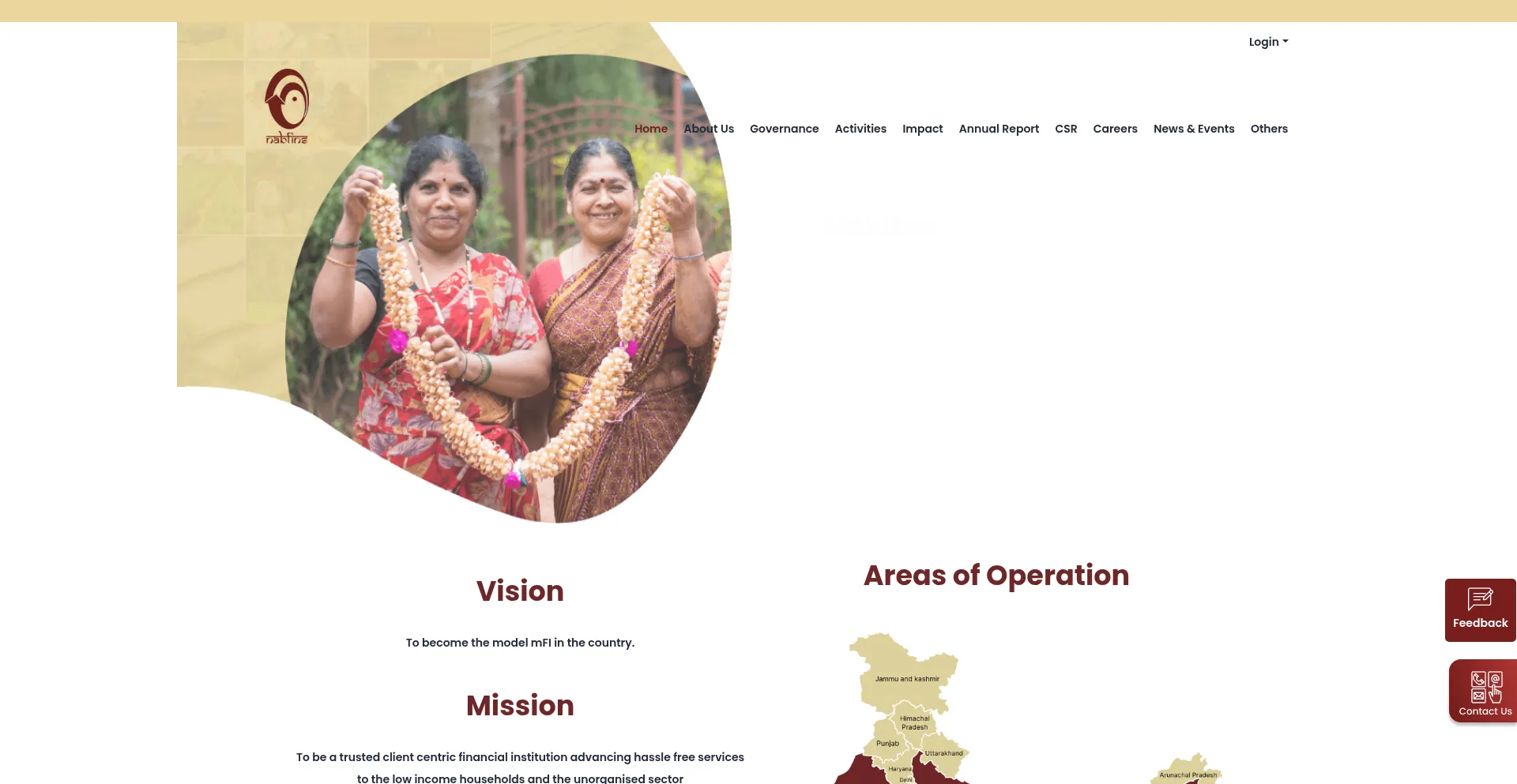Website screenshot of Nabfins.org