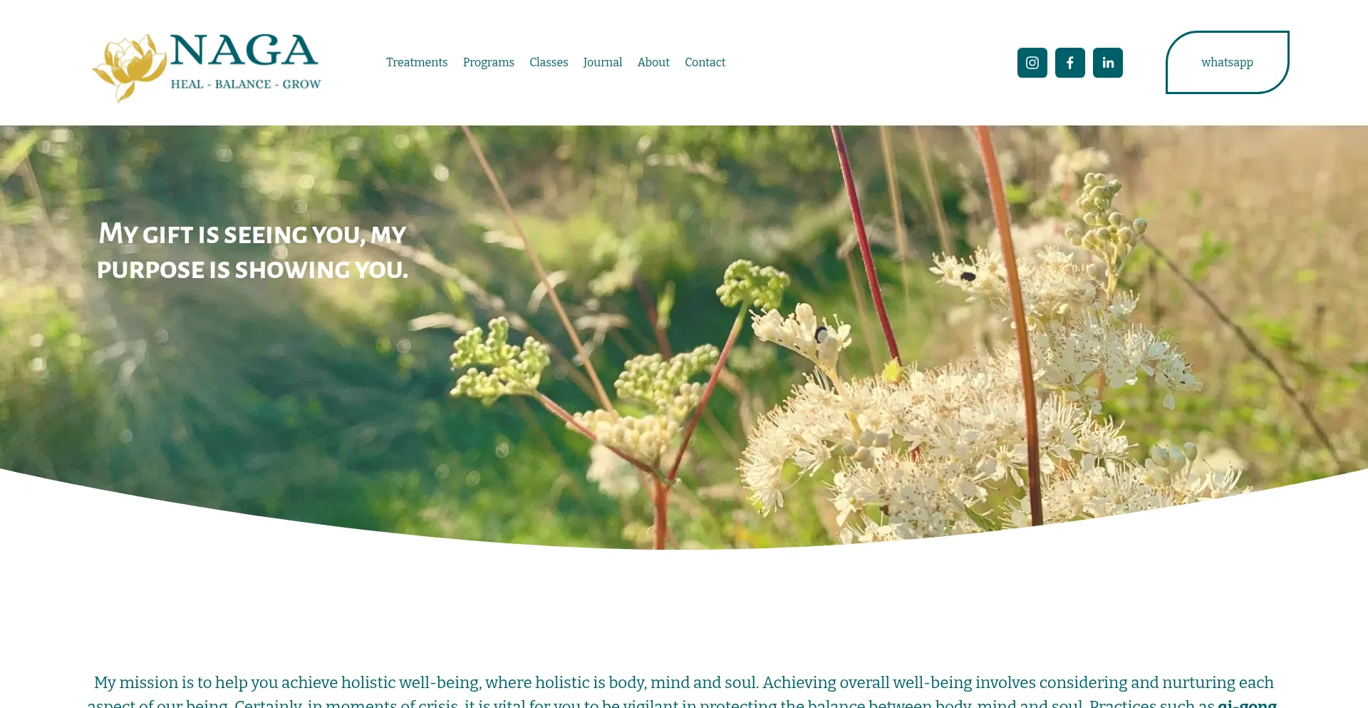 Website screenshot of Naga.care
