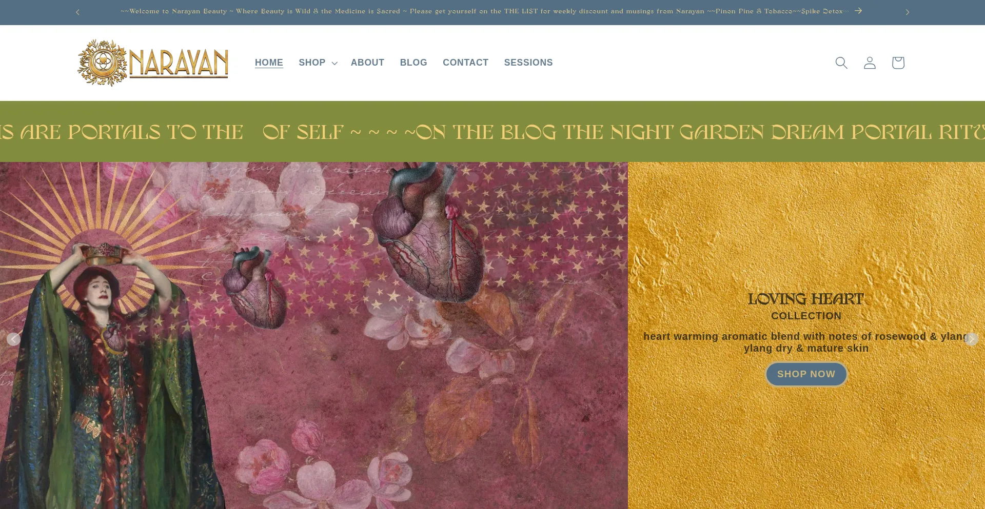 Website screenshot of Narayanbeauty.com