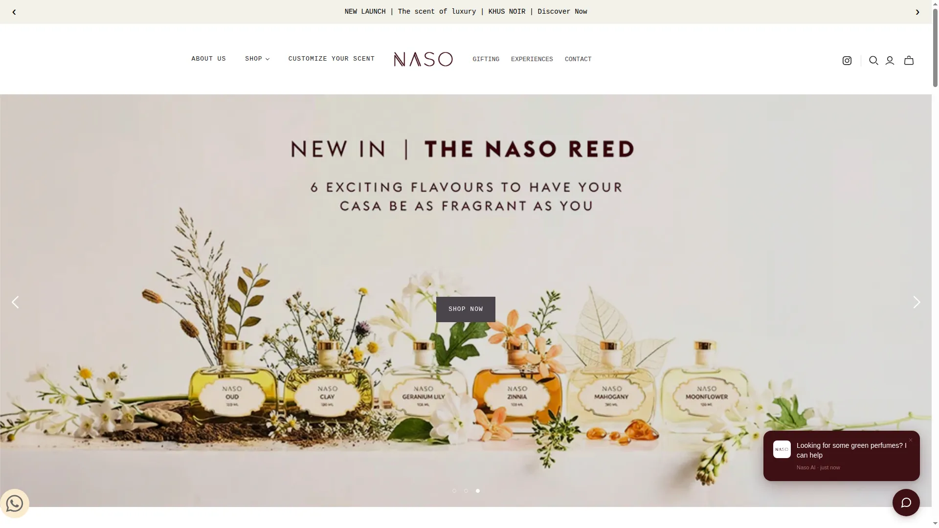 Nasoprofumi.com