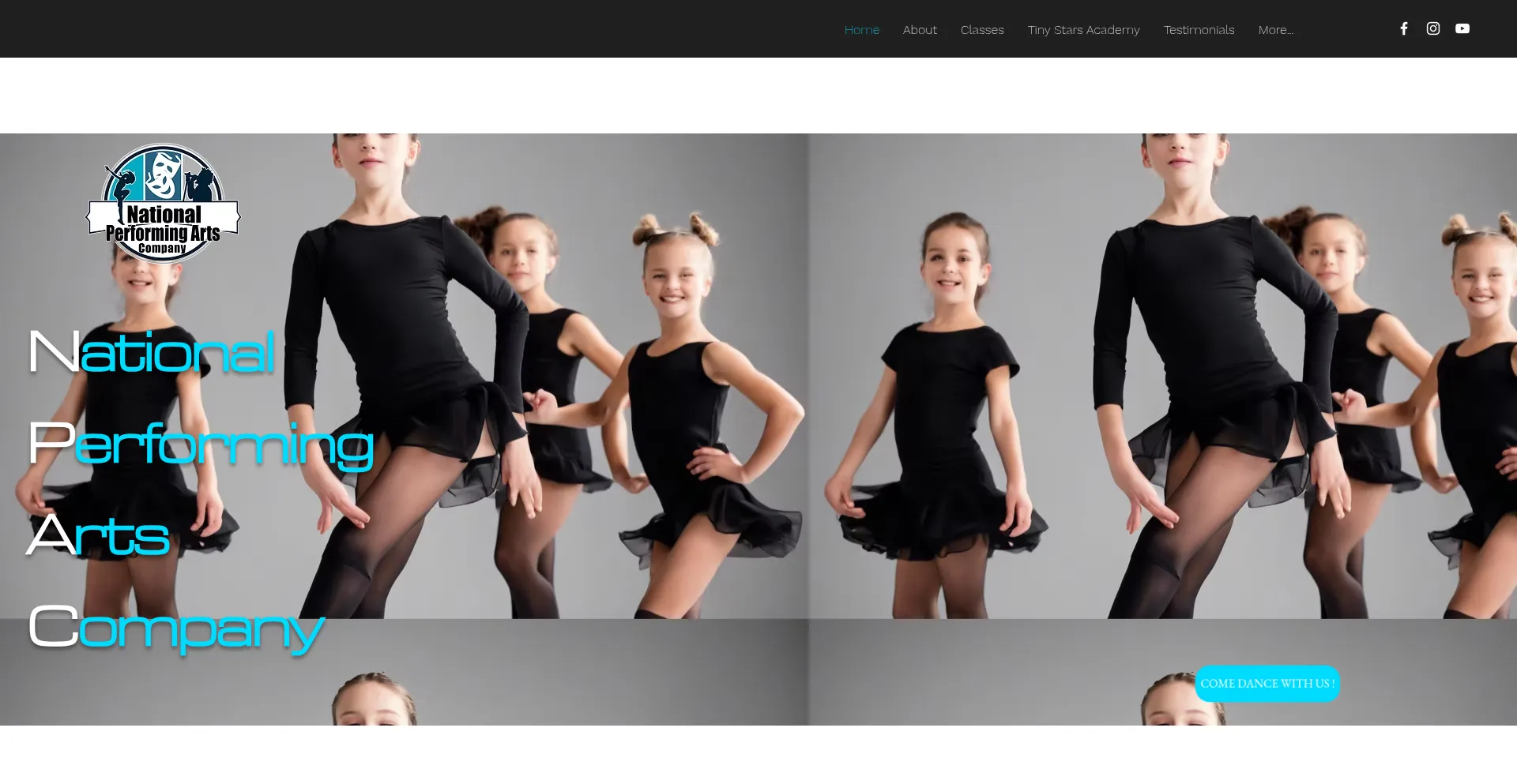 Website screenshot of Nationalperformingartscompany.com