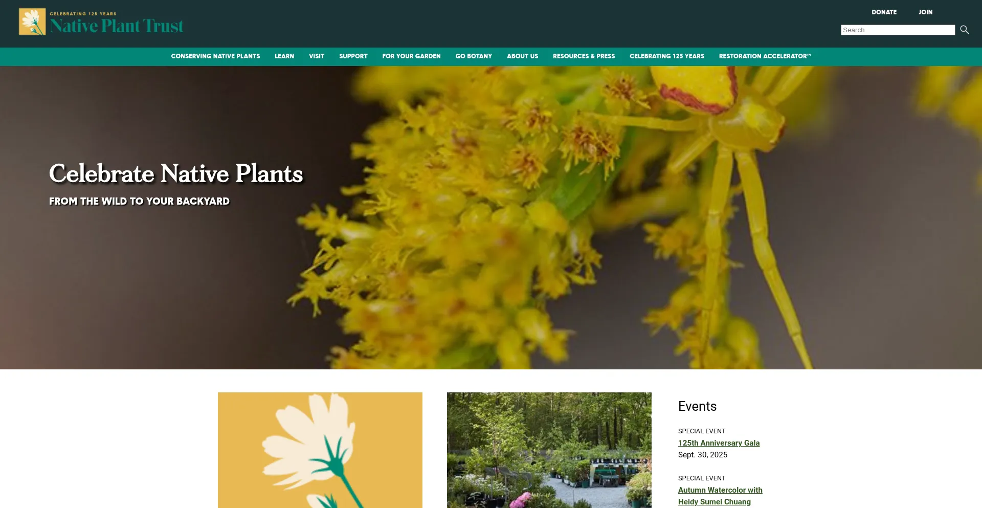 ¿És Seguro y Confiable Nativeplanttrust.org?