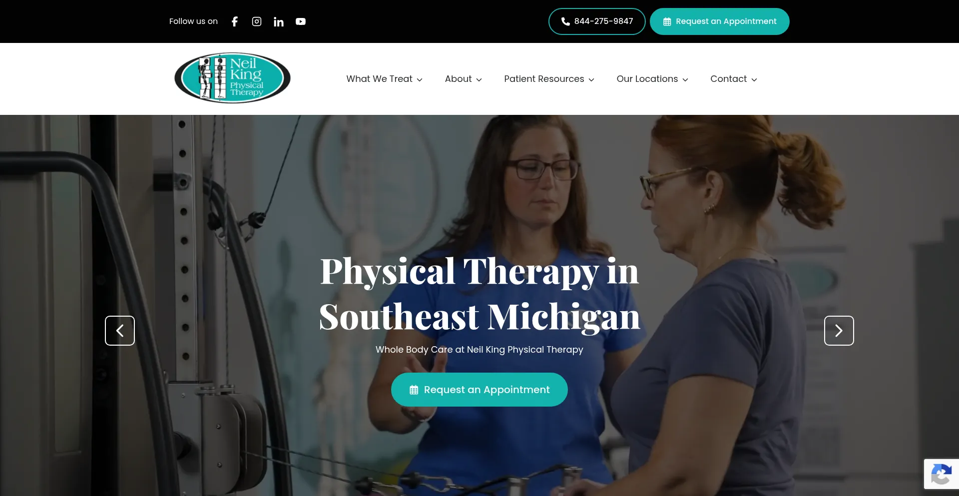 Neilkingpt.com