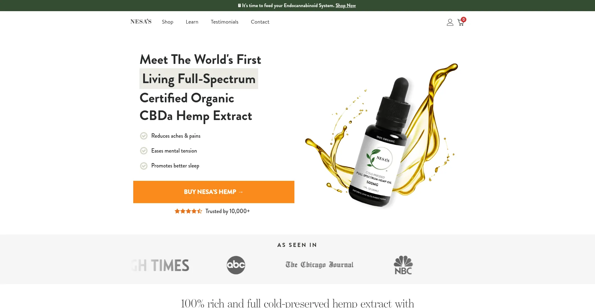 Website screenshot of Nesashemp.com