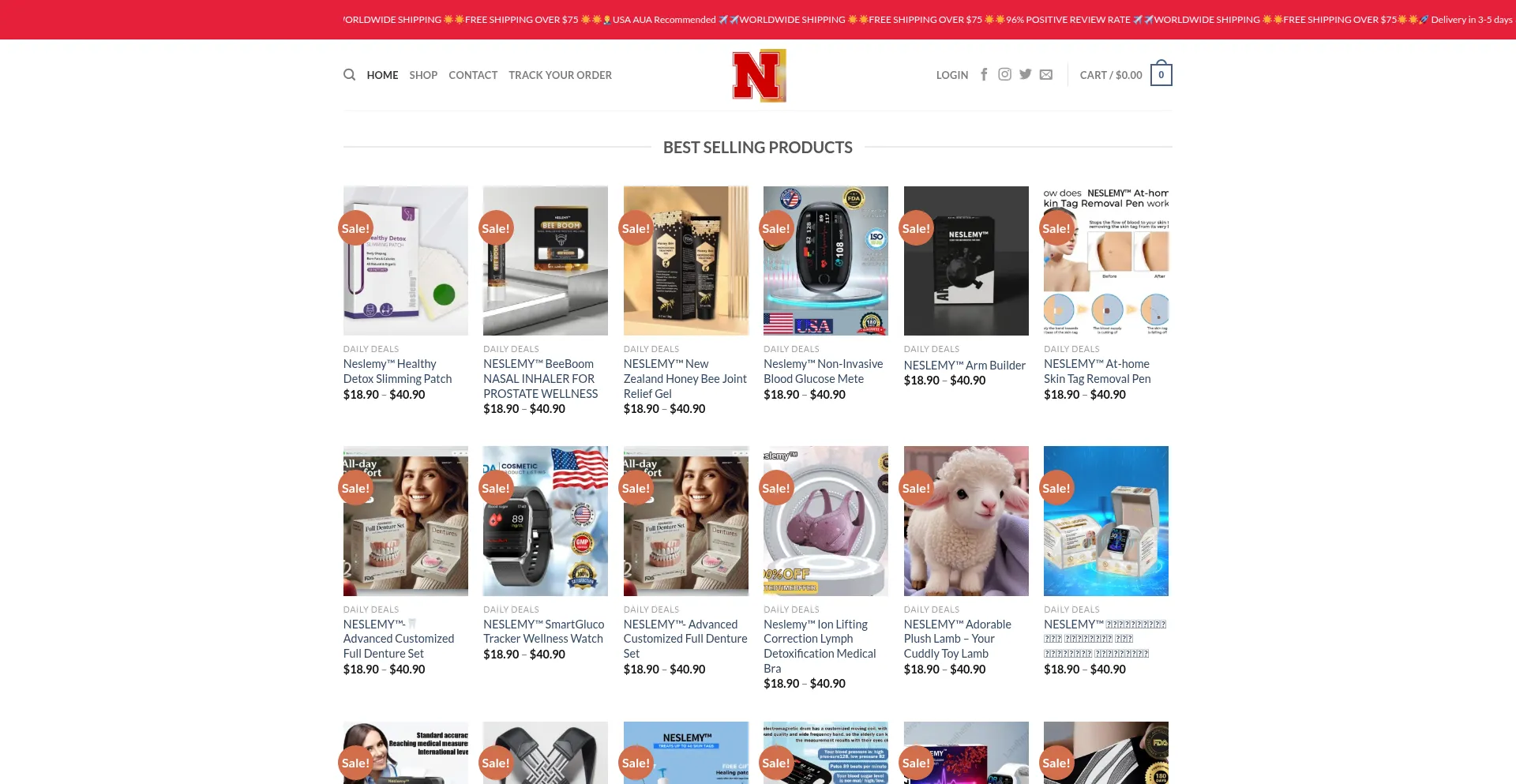 Website screenshot of Neslemy.net