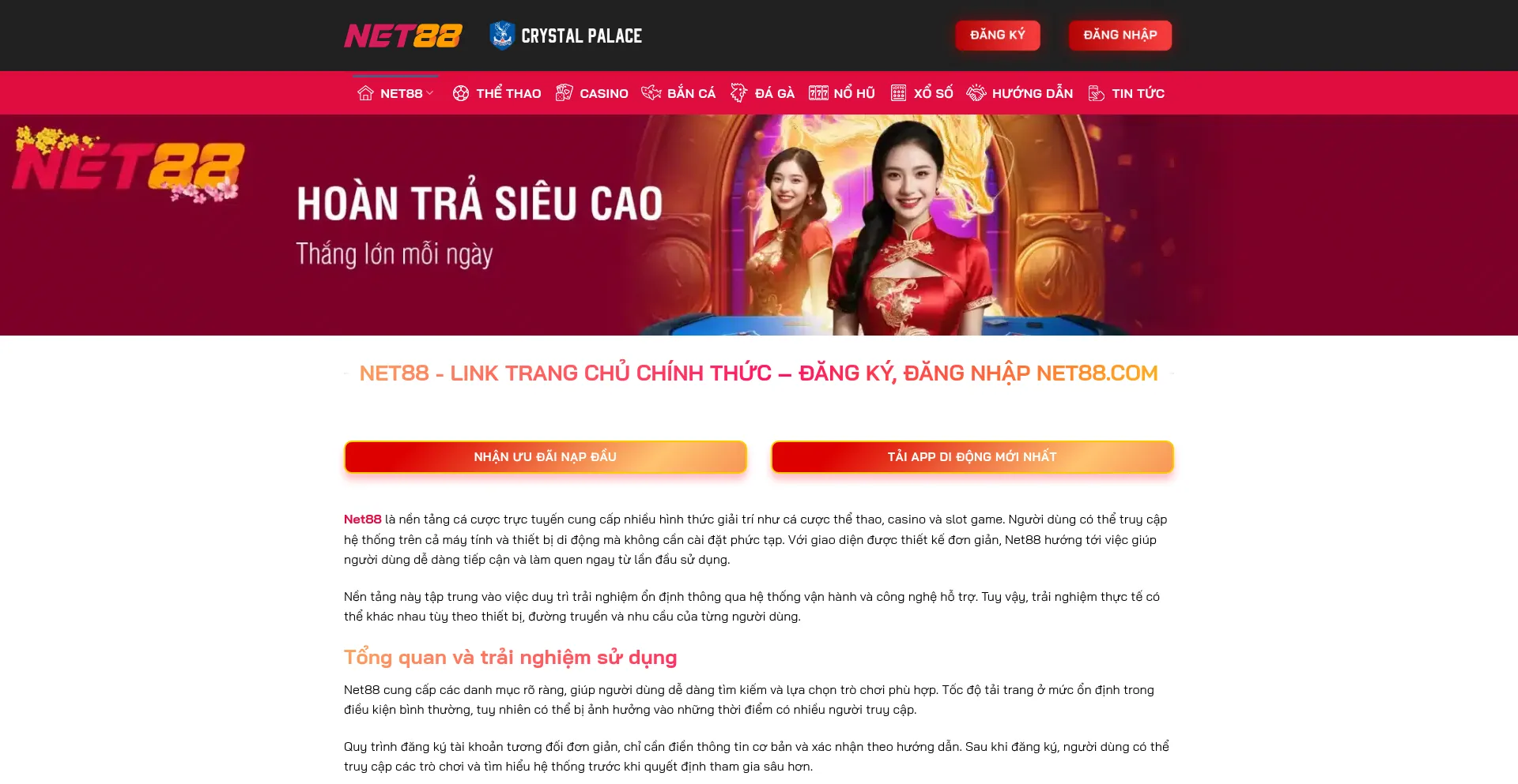 Net88ta.com