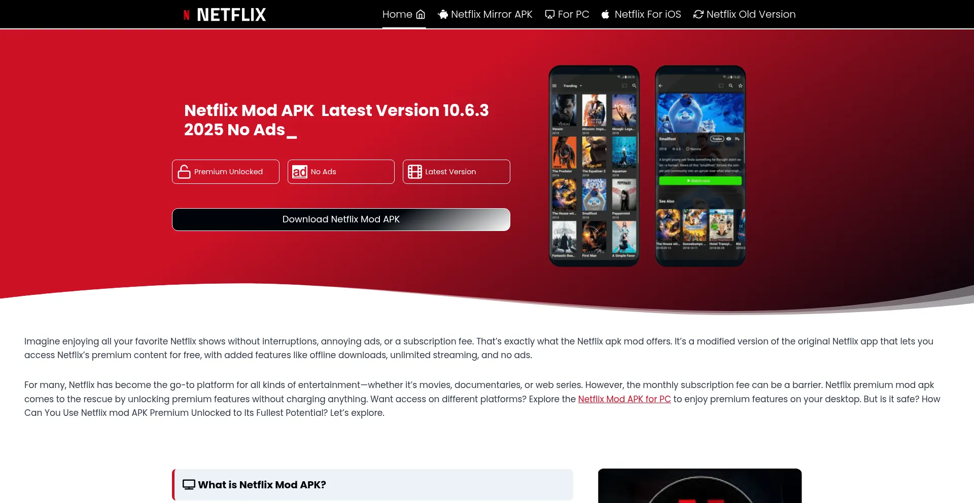 Netflxapk.com