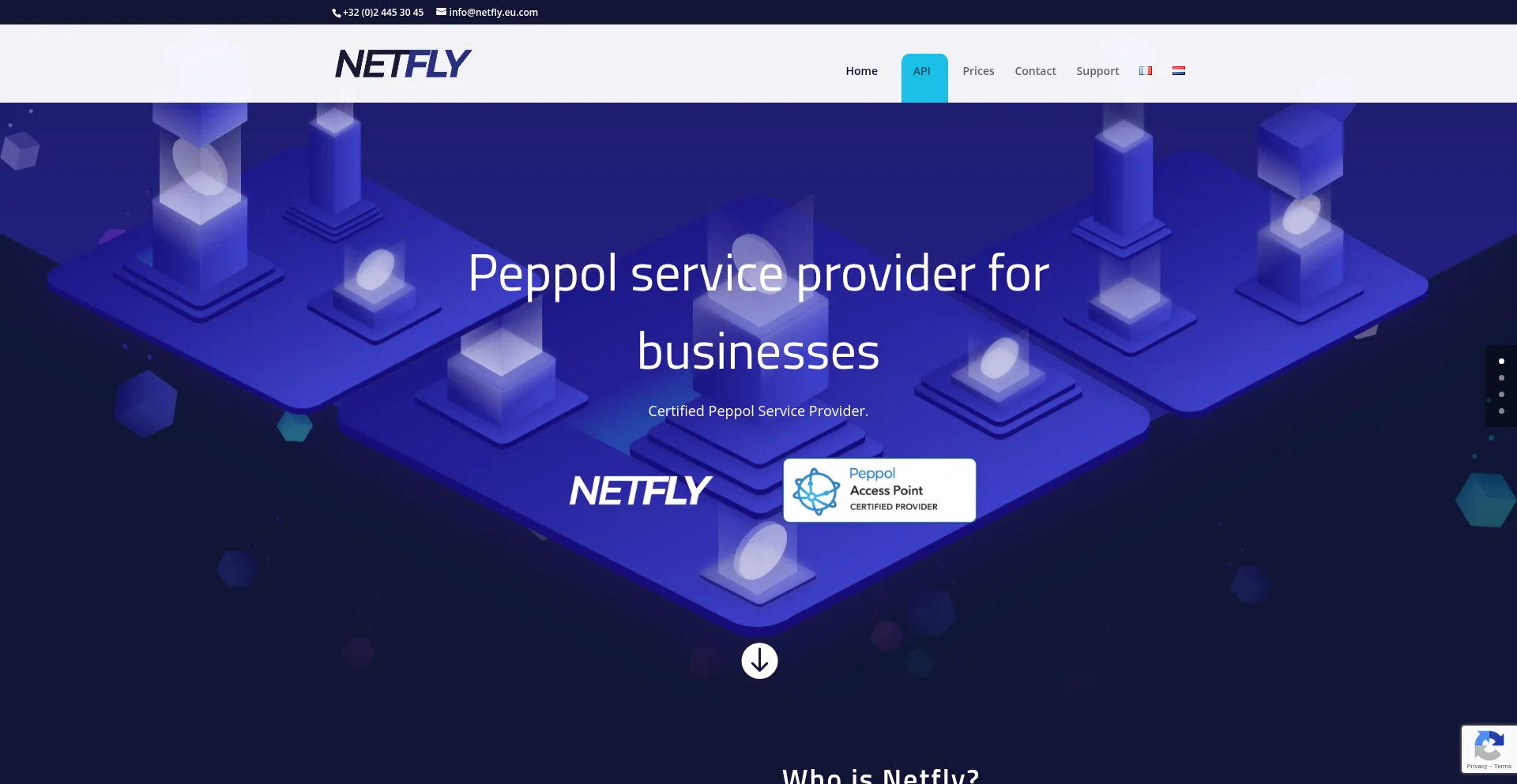 Website screenshot of Netfly.be