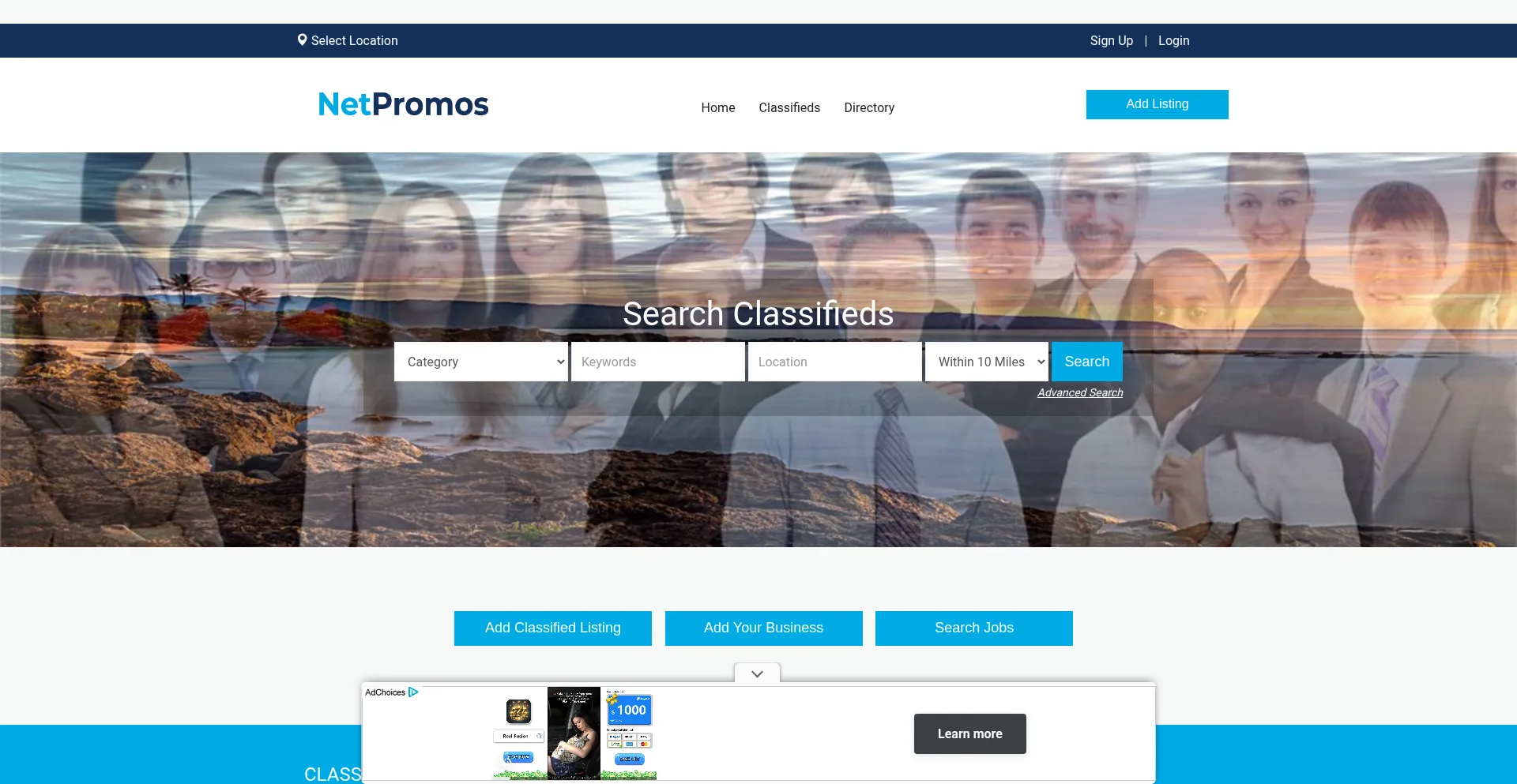 Website screenshot of Netpromos.com