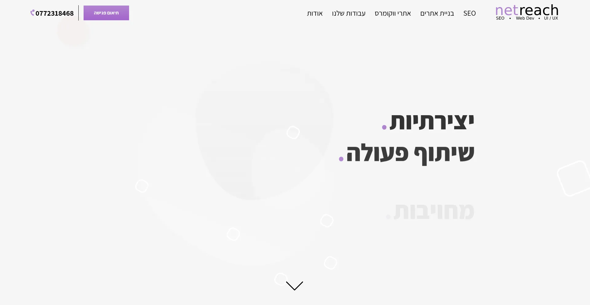 Website screenshot of Netreach.co.il