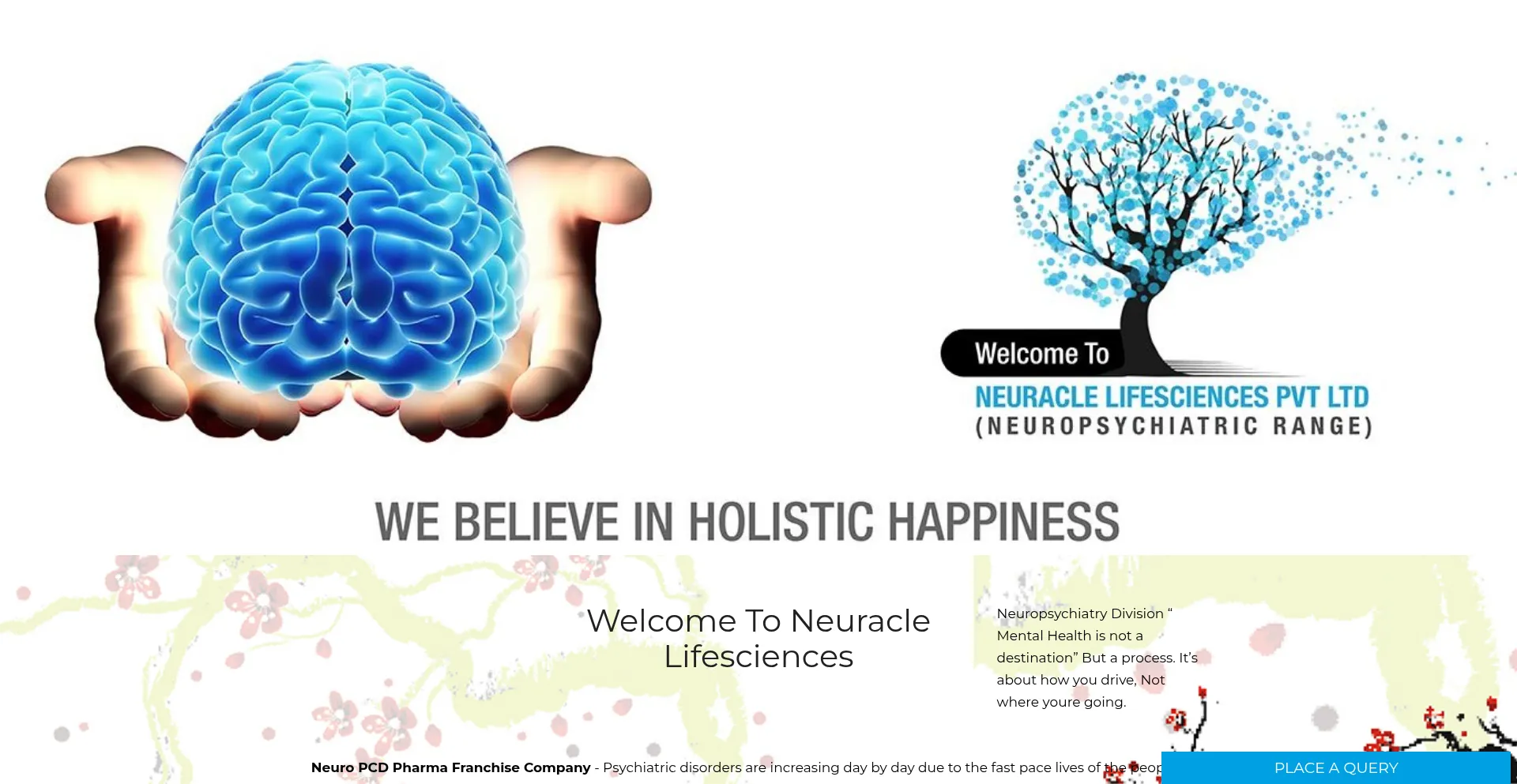 Website screenshot of Neuraclelife.com