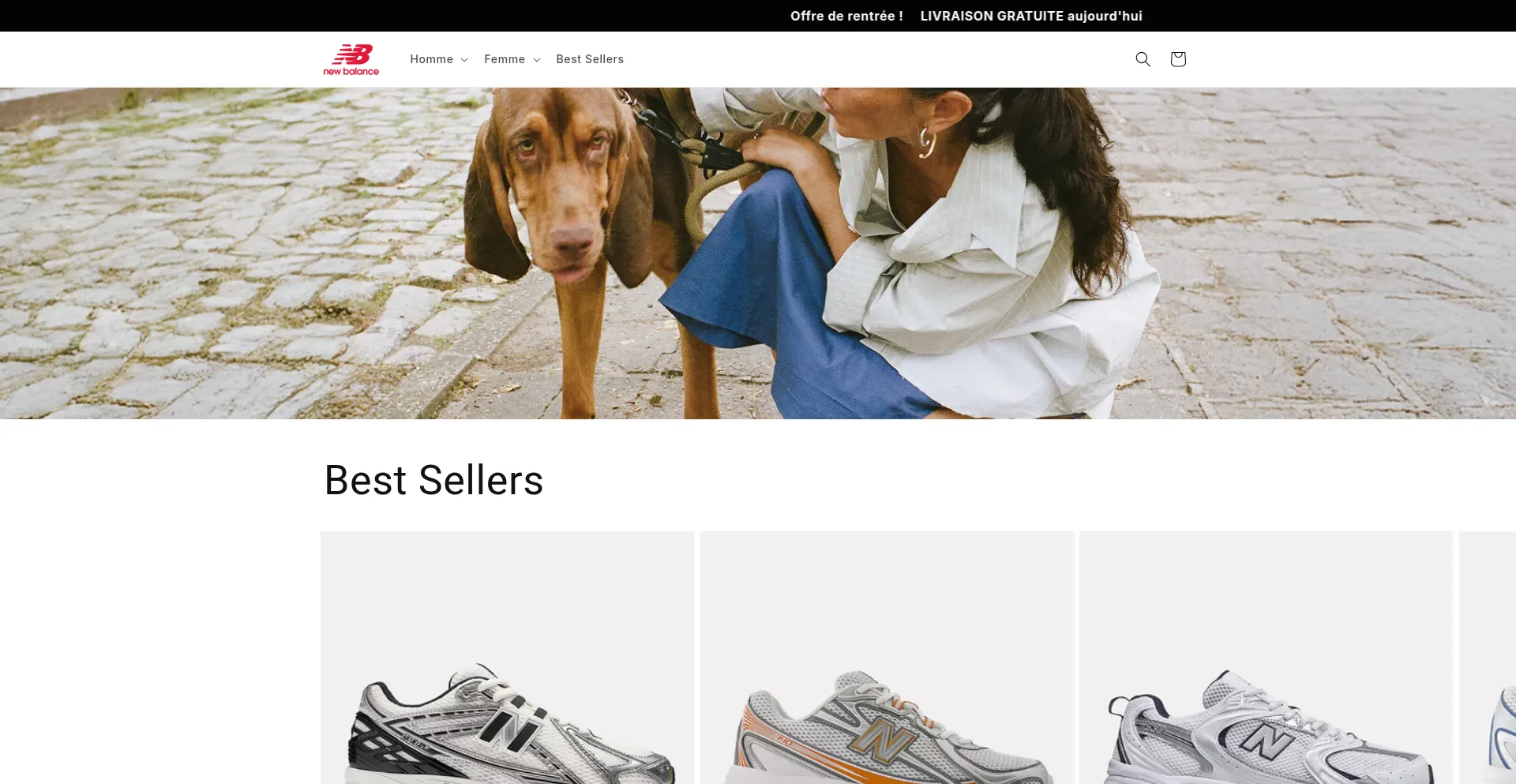 ¿És Seguro y Confiable Newbalancefr.com?
