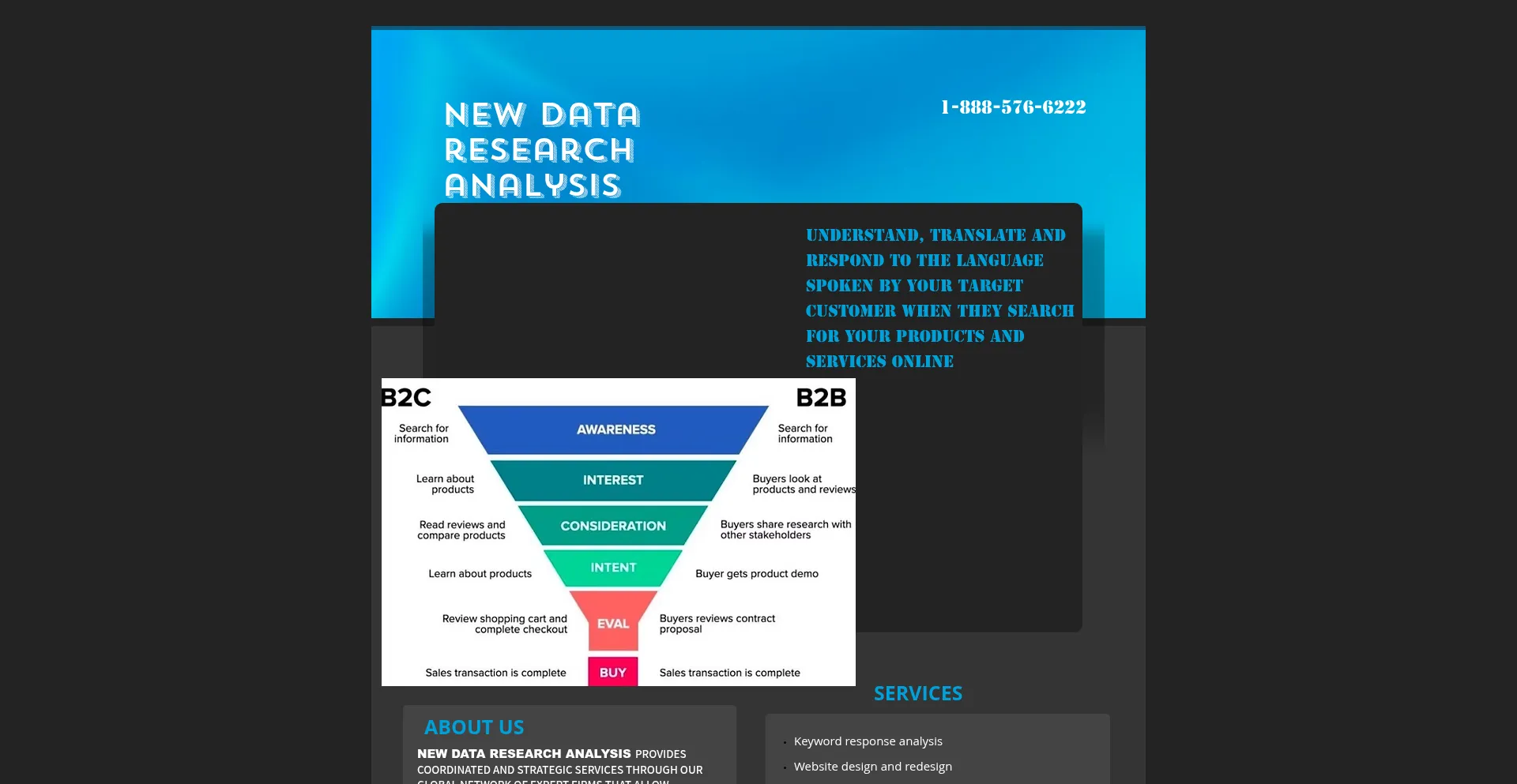 Website screenshot of Newdatara.com