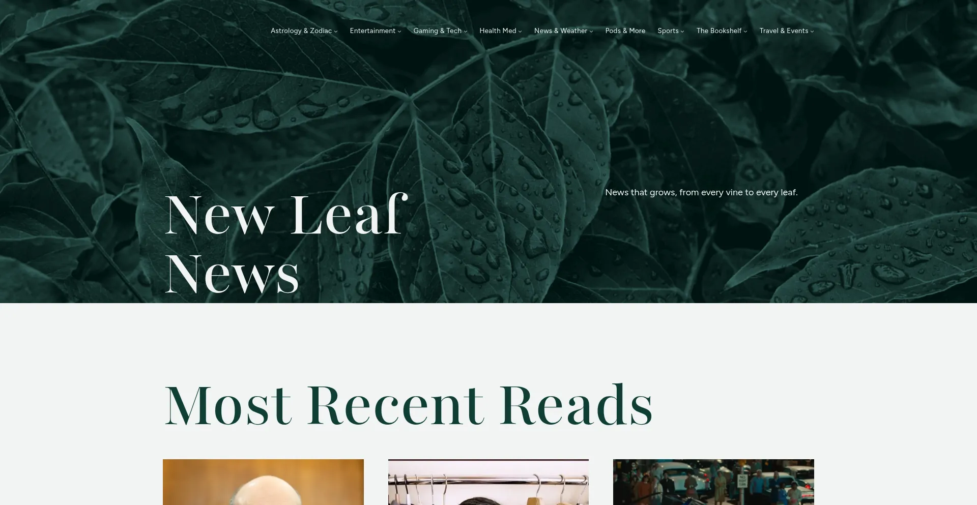 Website screenshot of Newleafnews.network