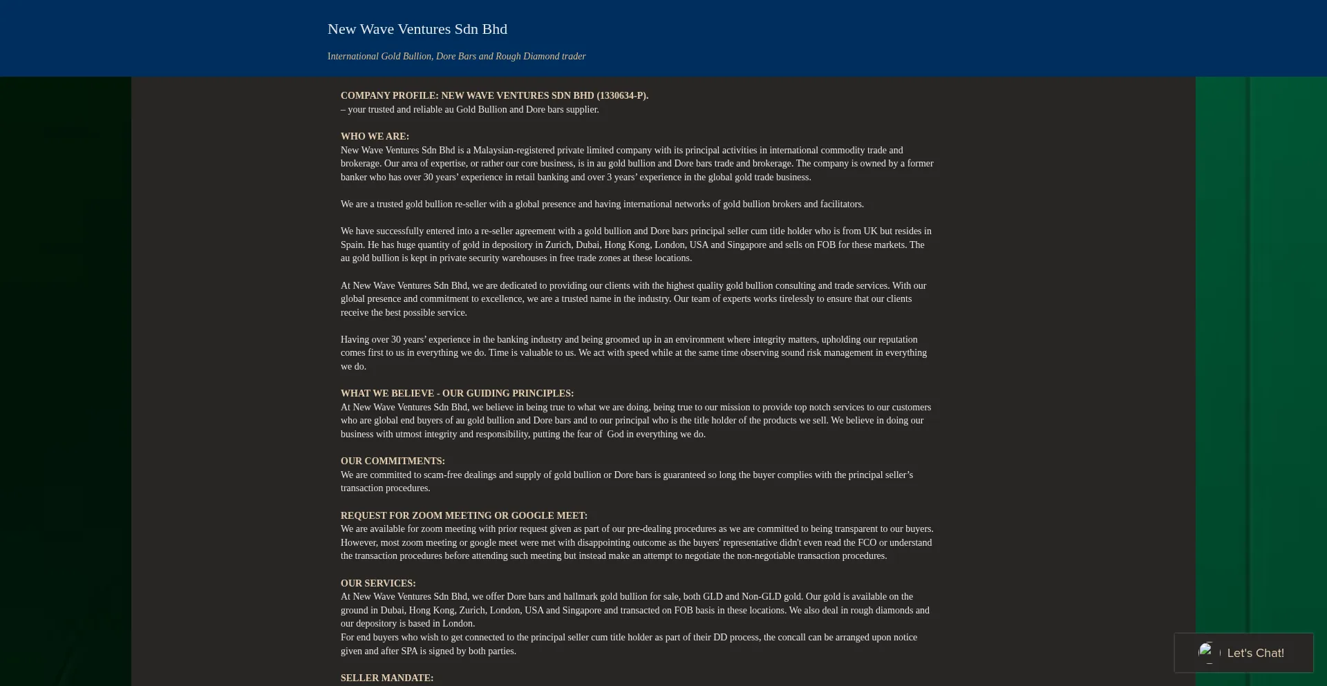 Website screenshot of Newwave-ventures.com