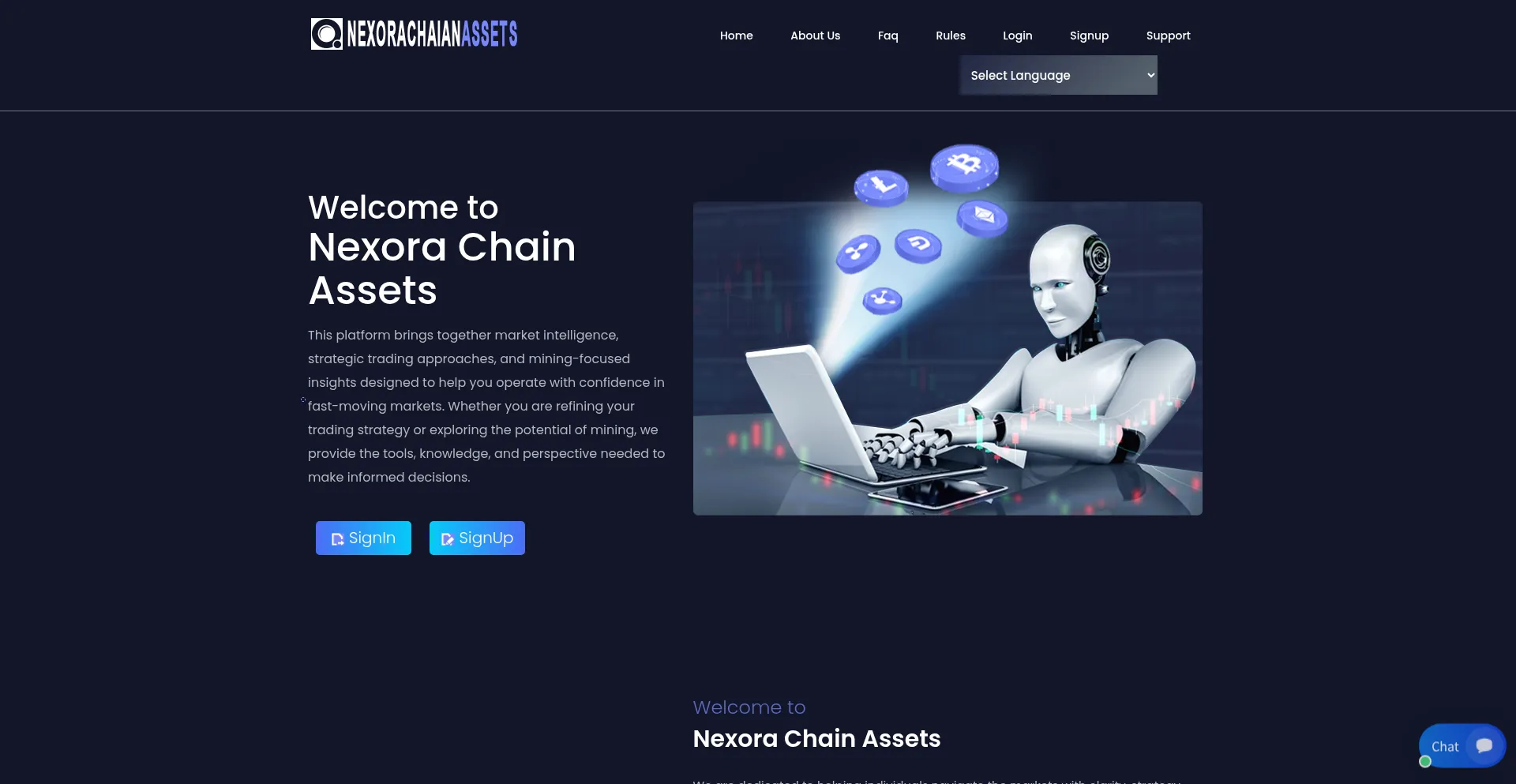 Nexorachainassets.com
