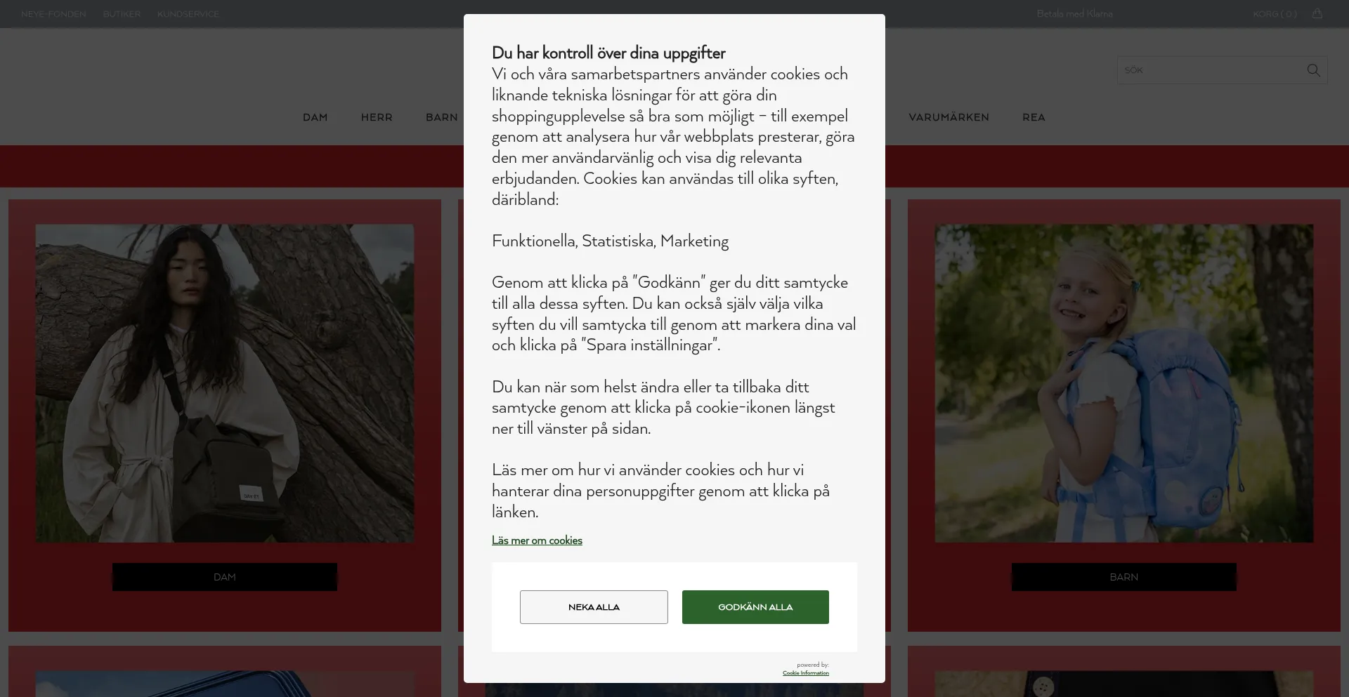 Website screenshot of Neye.se
